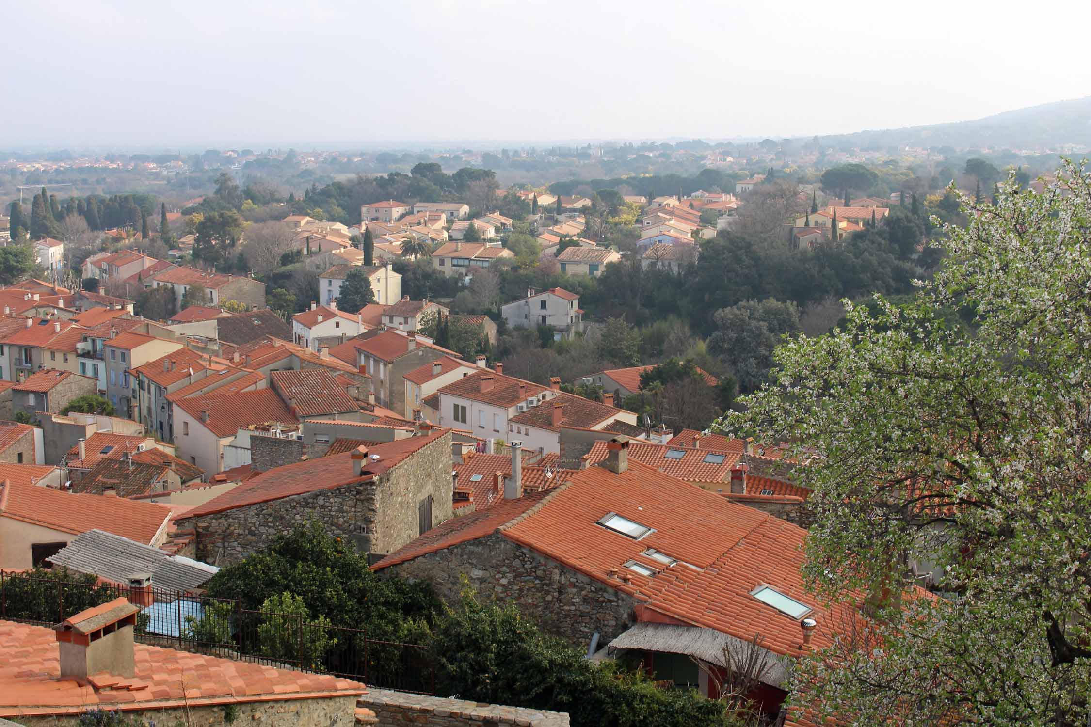 Laroque-des-Albères, vue