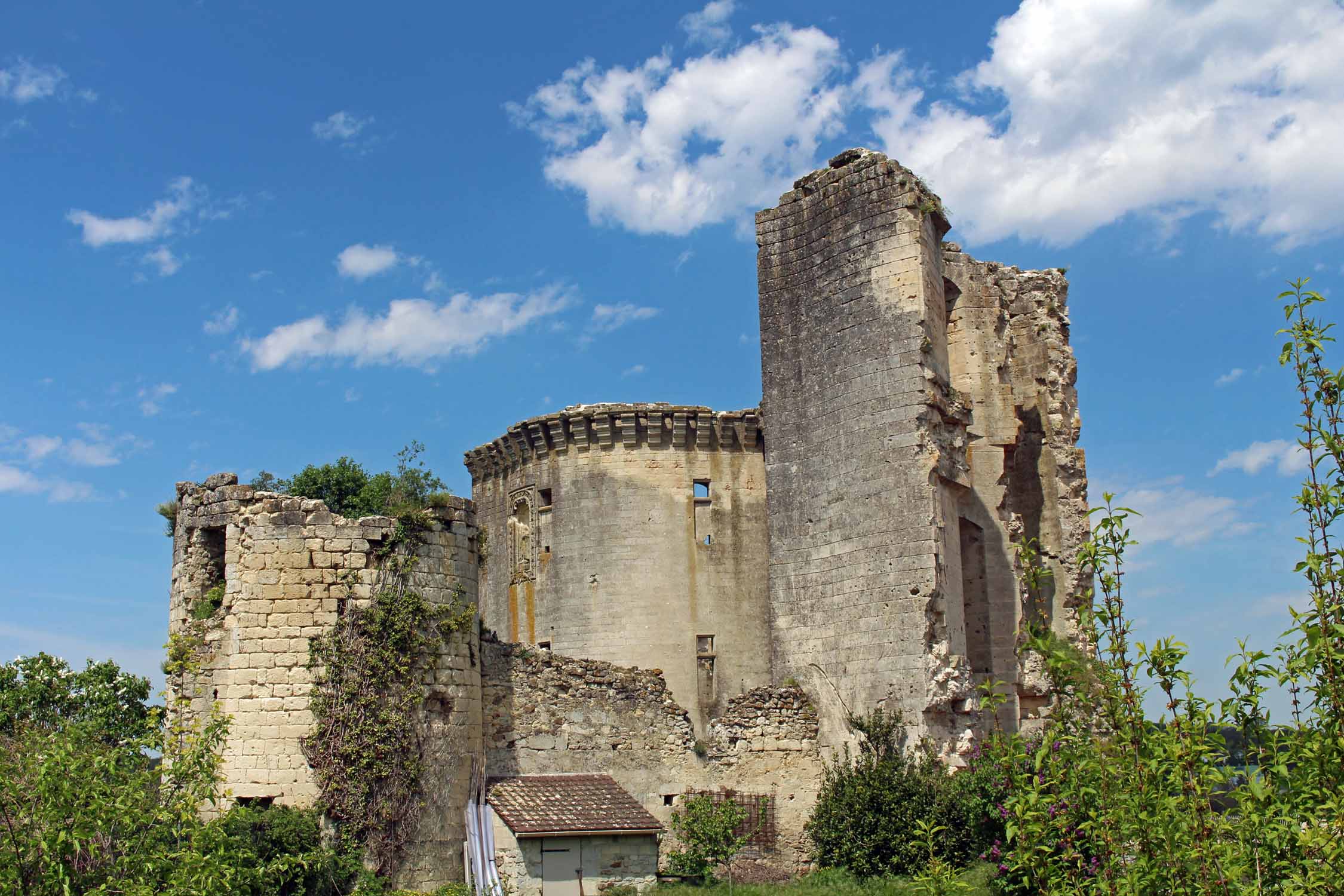 La Ferté Milon, château, ruines