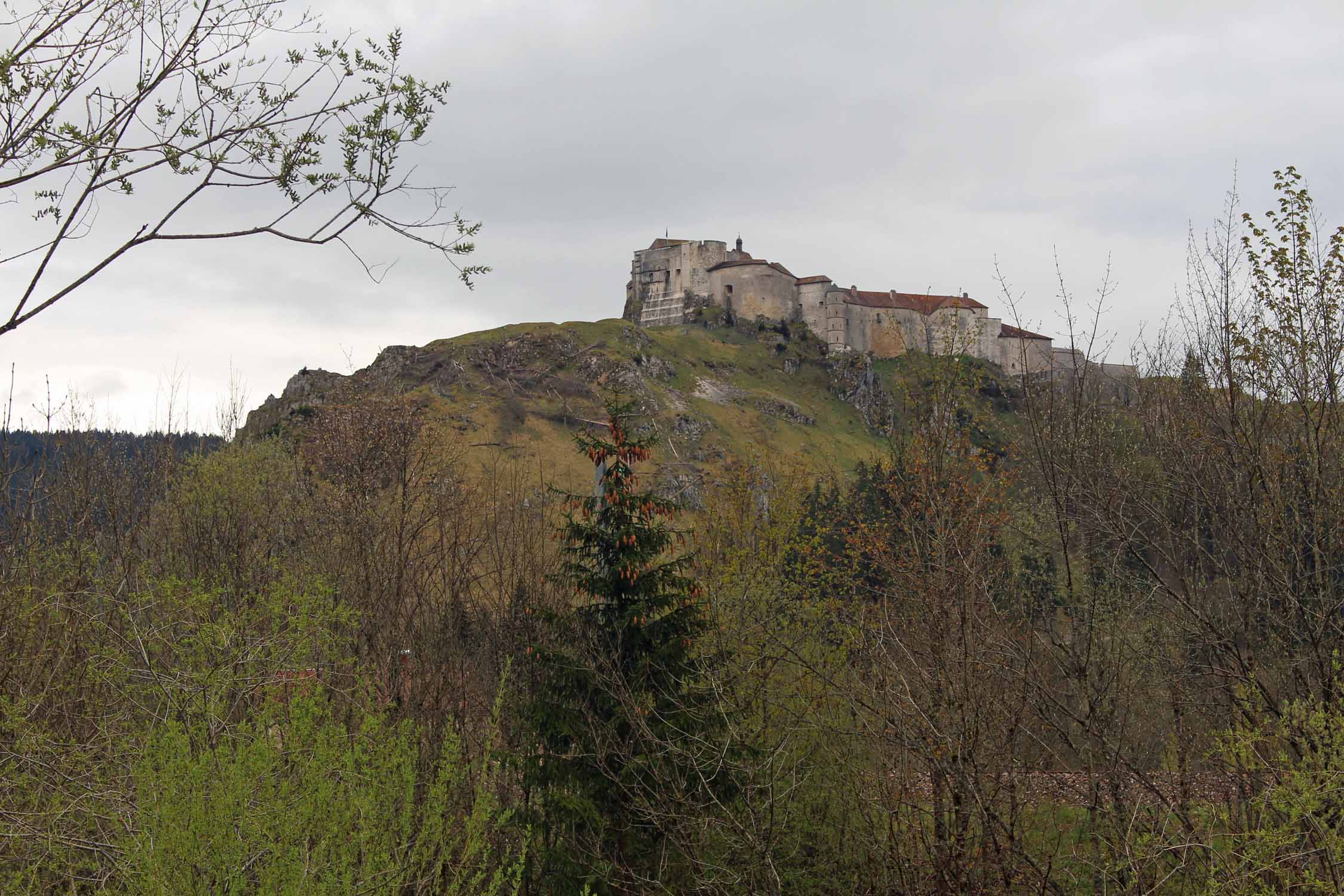 Château de Joux