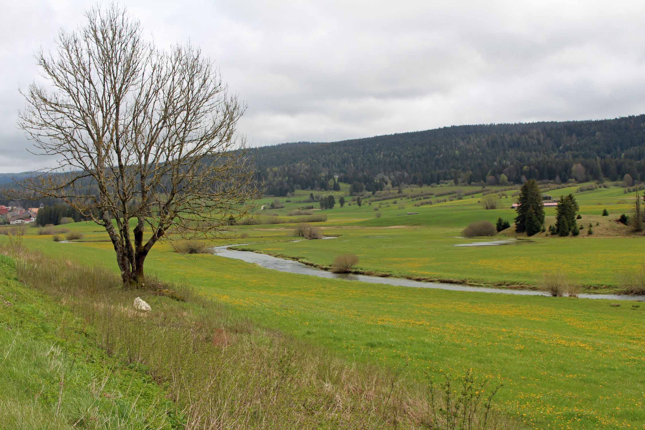 Val de Mouthe, paysage