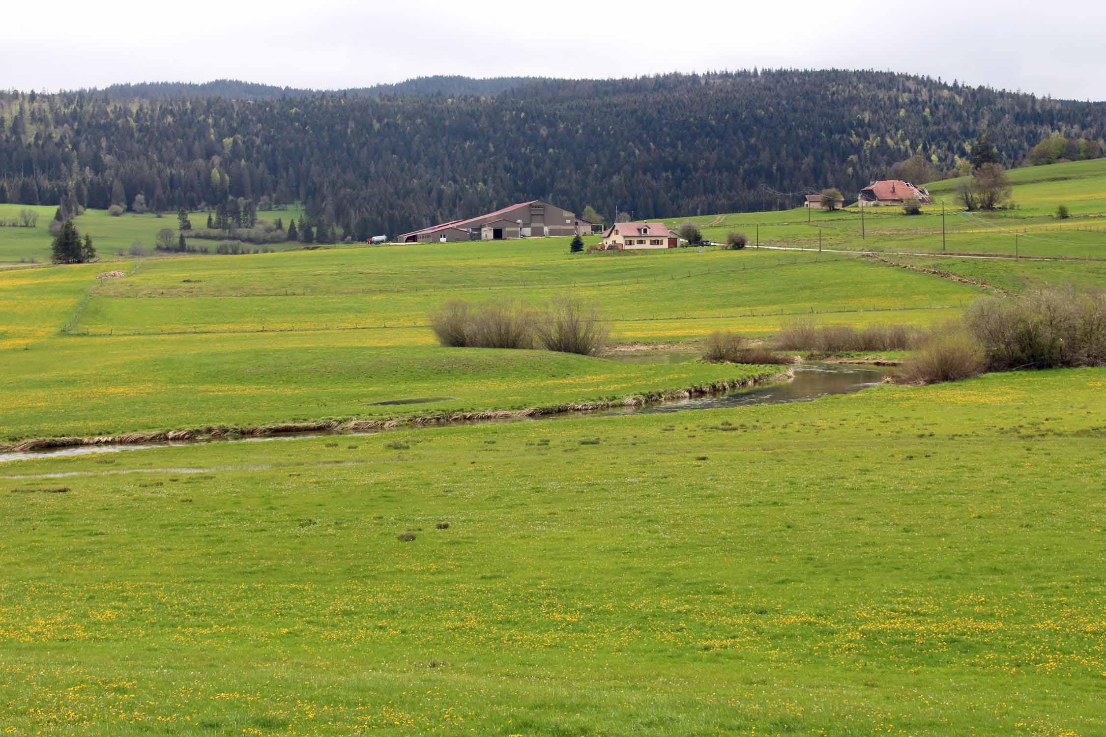 Jura, Val de Mouthe, paysage