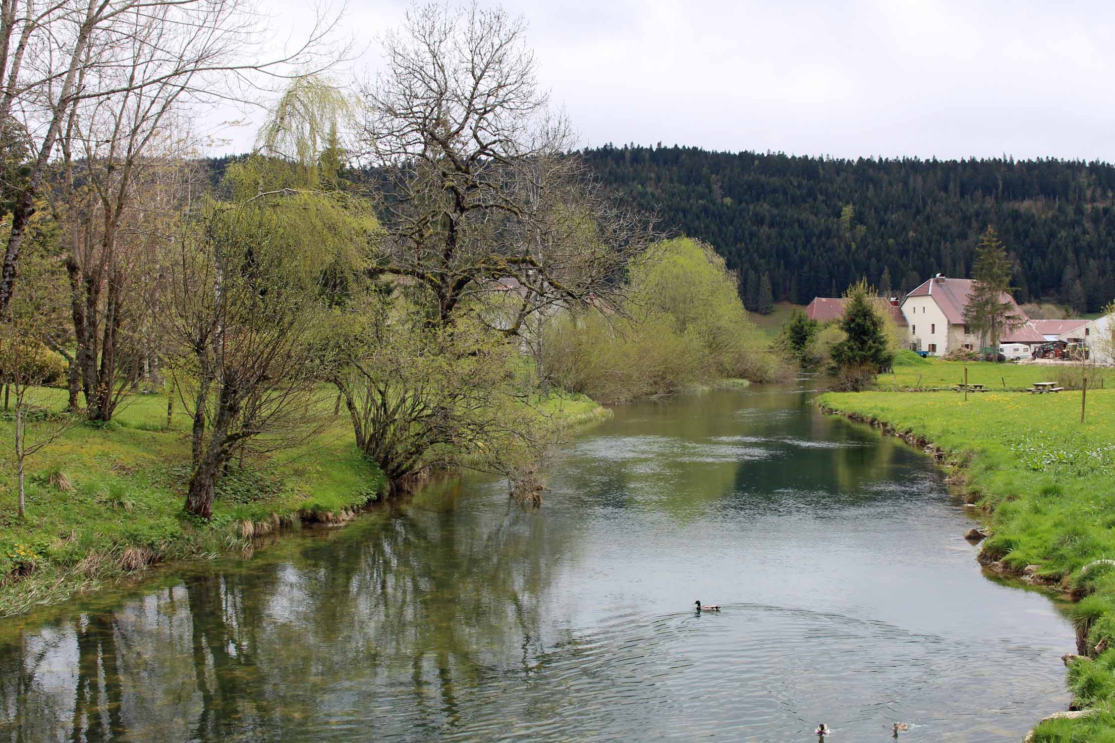 Mouthe, rivière Doubs