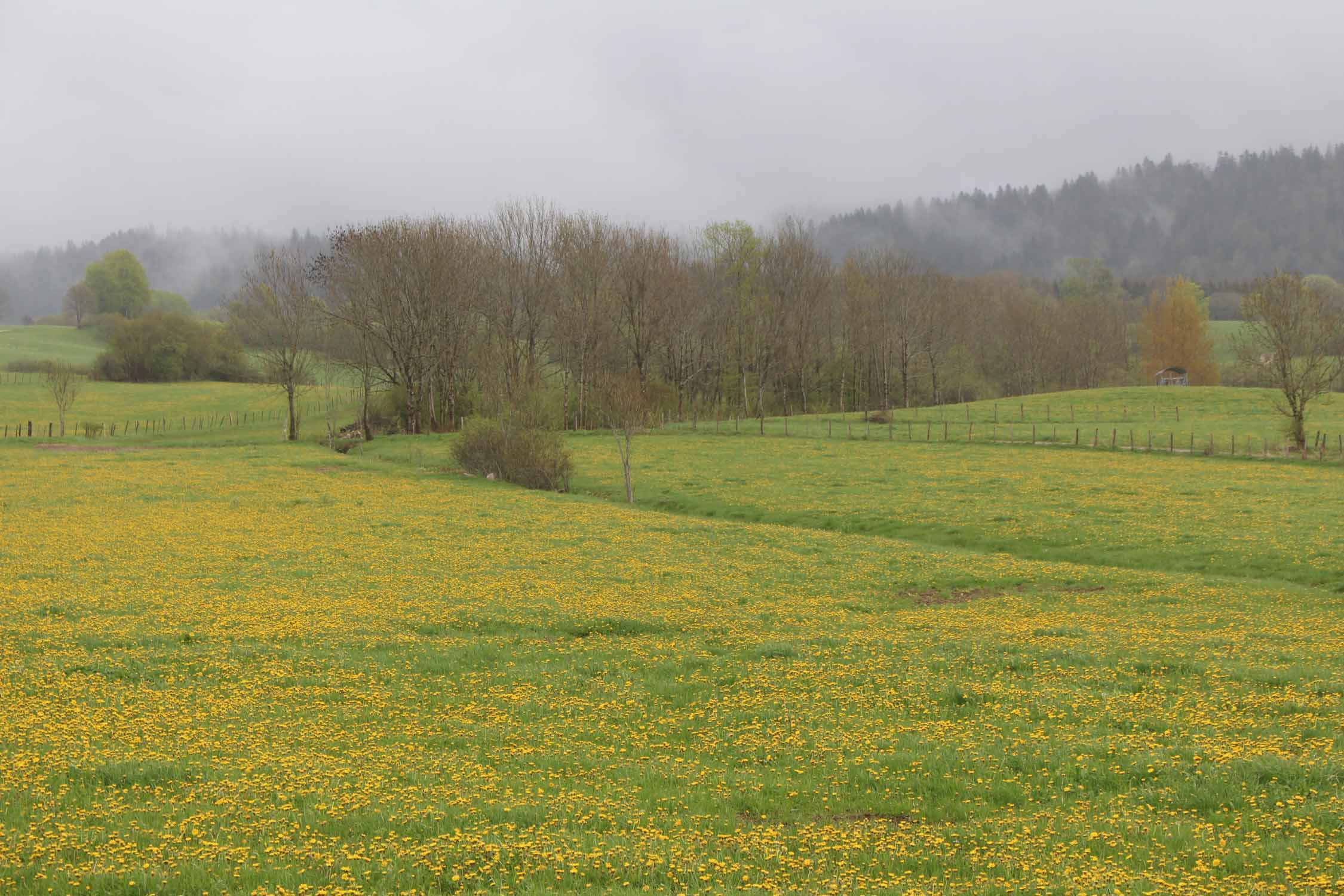 Jura, les Chalesmes, paysage