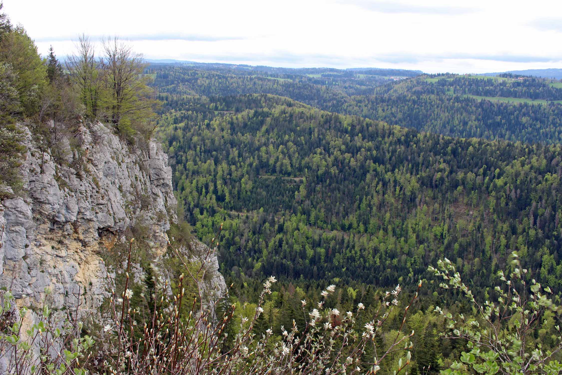 Doubs, la Cendrée, falaise, paysage