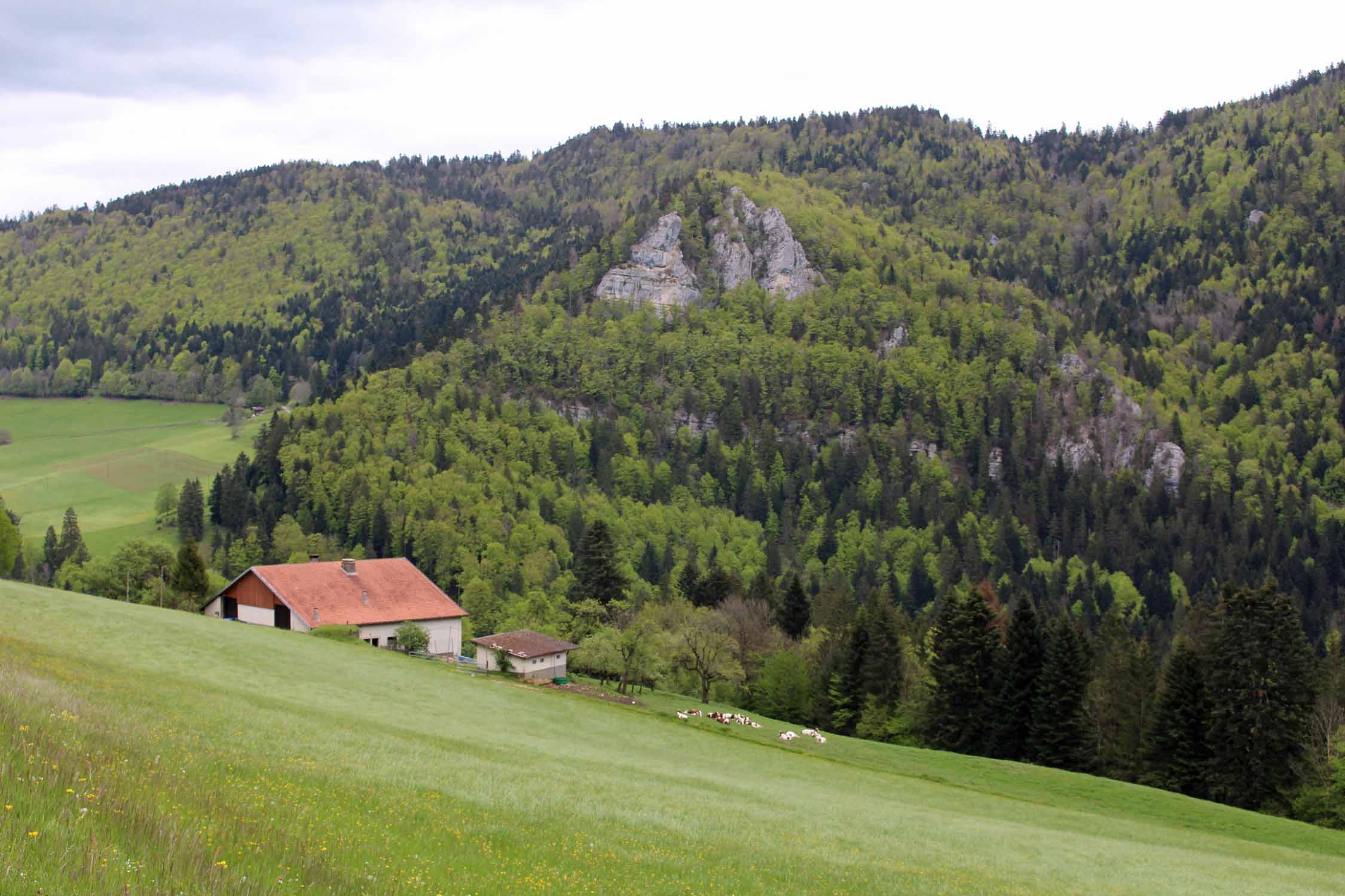 Charmauvillers, paysage