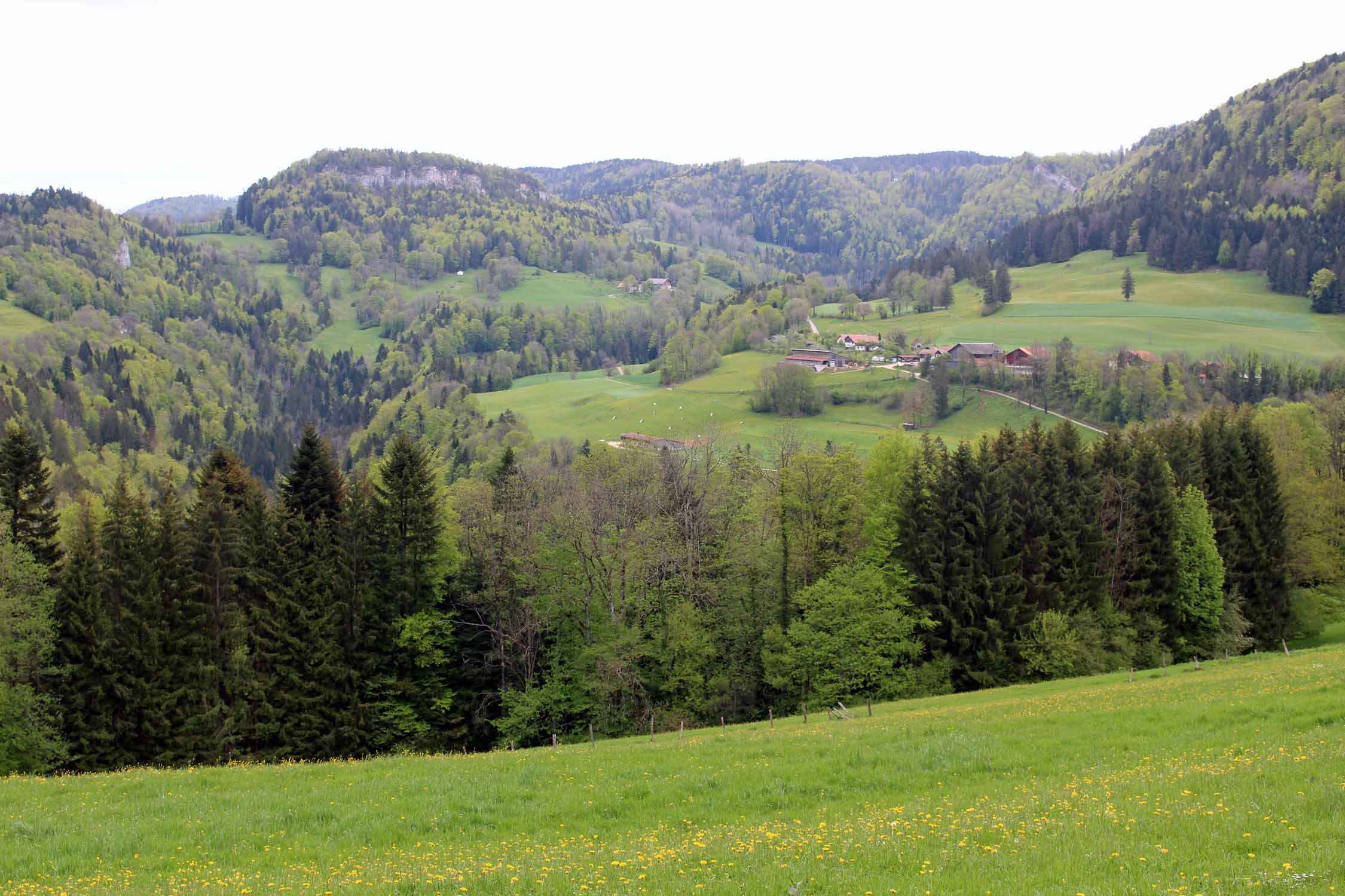 Corniche de Goumois, paysage