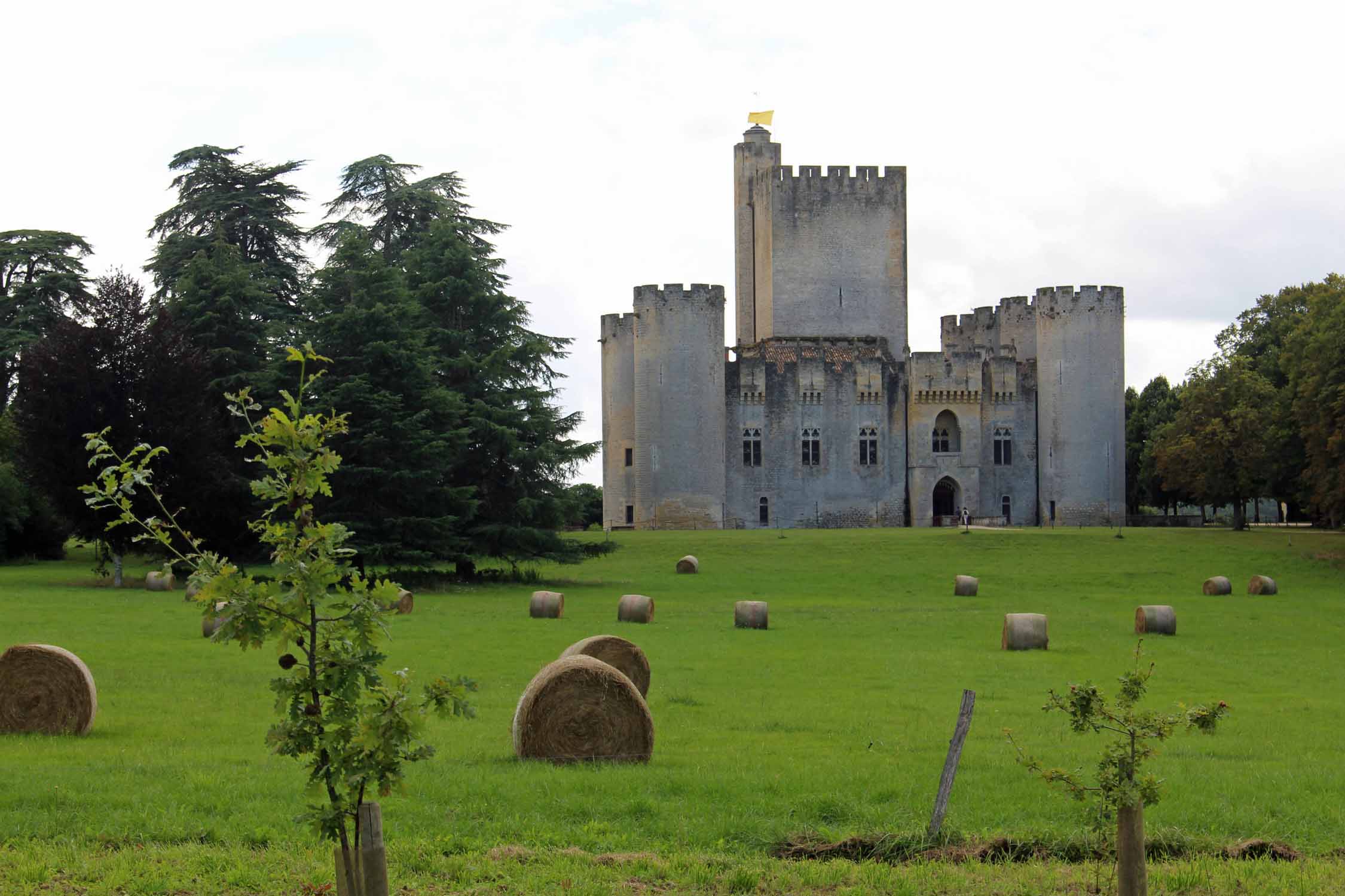 Château de Roquetaillade