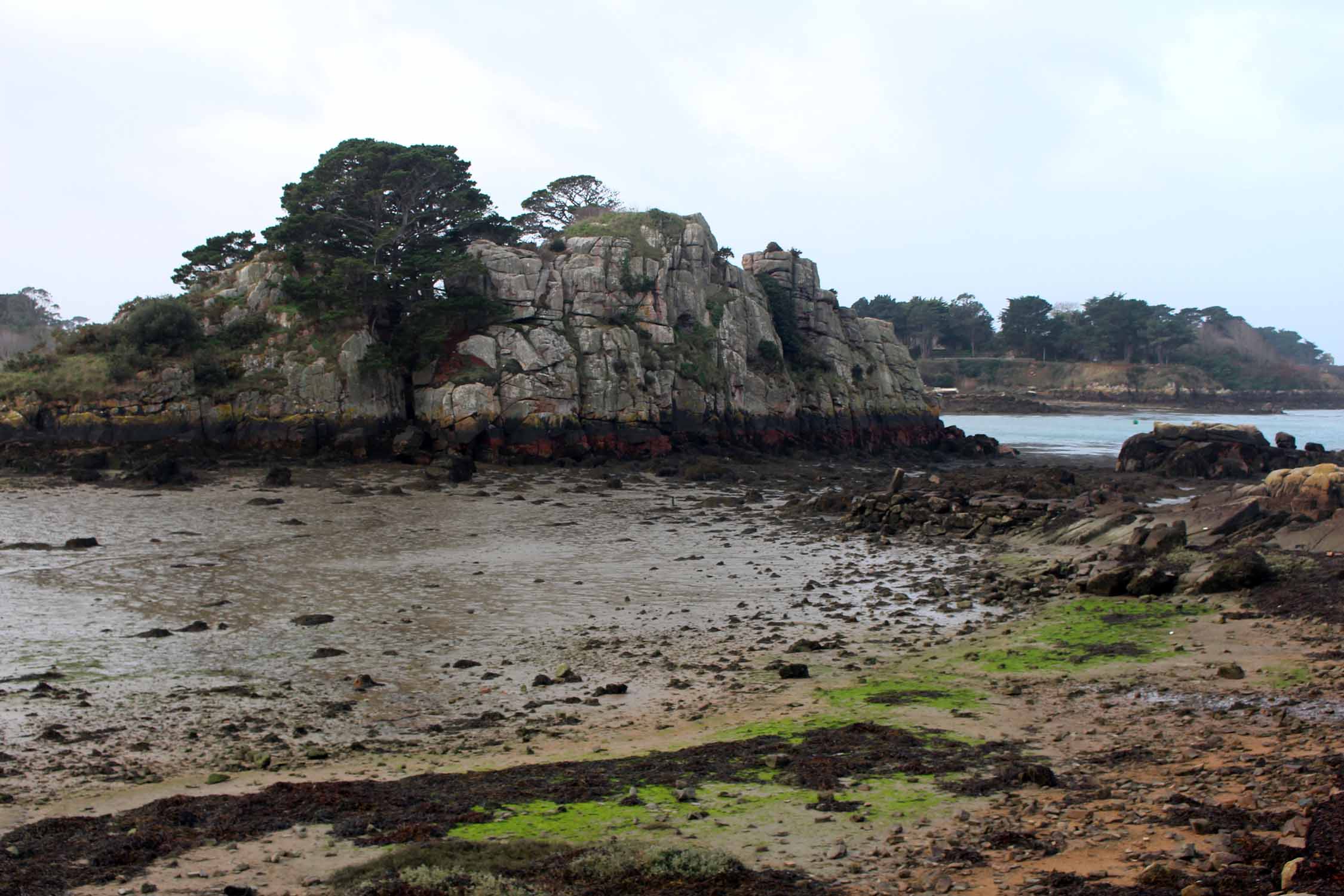 Ile de Bréhat, paysage, rochers