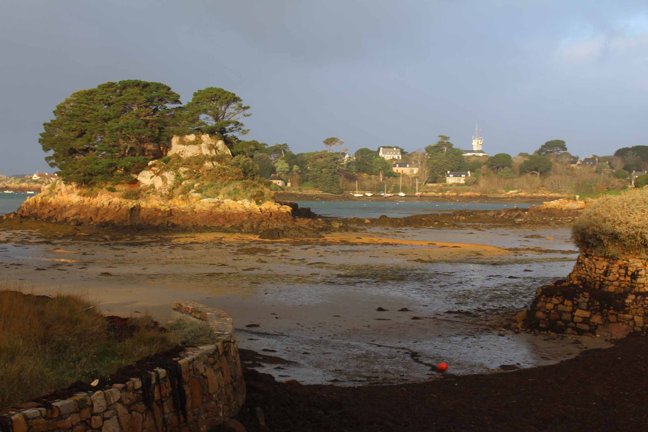 Ile de Bréhat, paysage