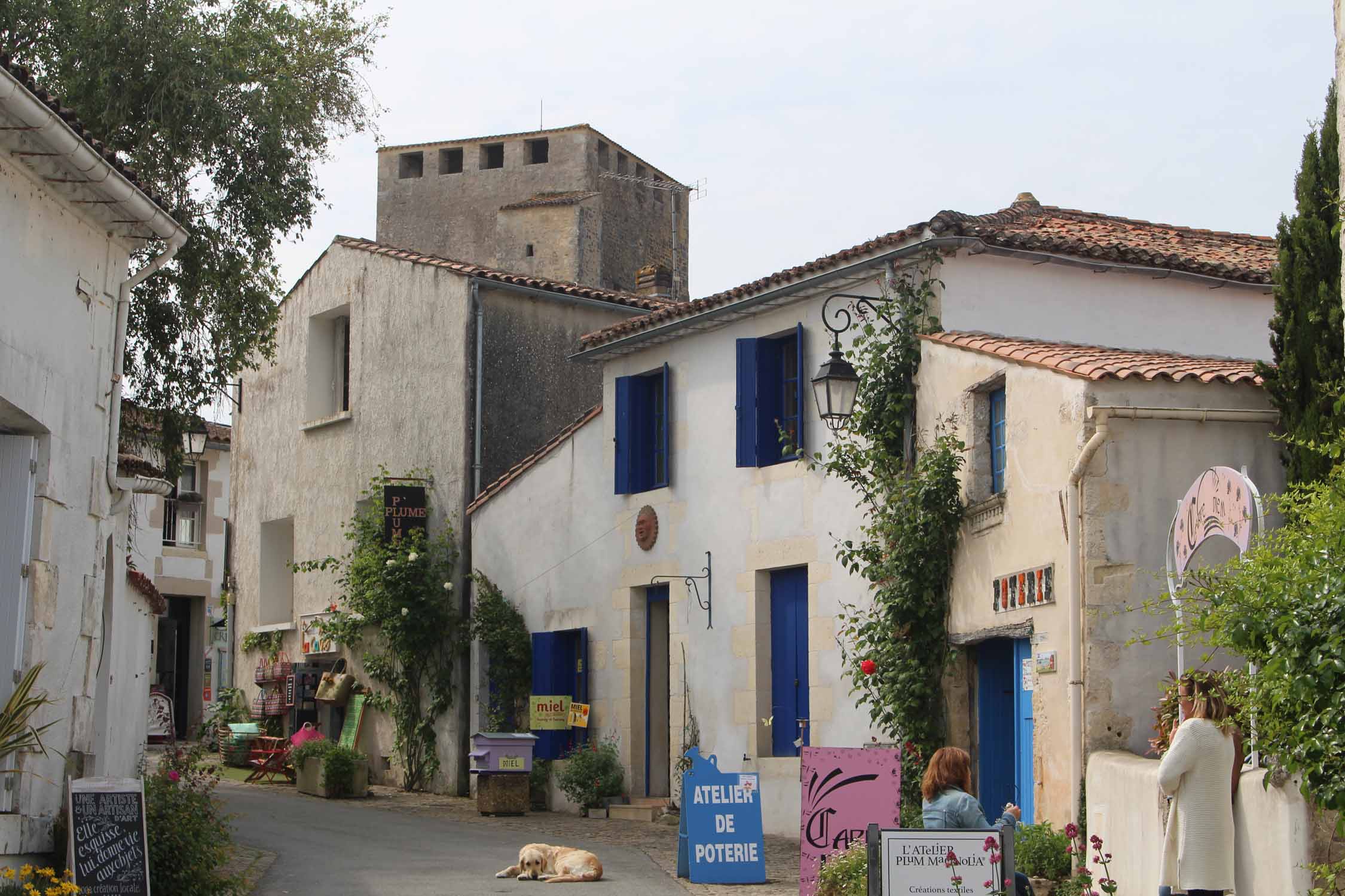 Mornac-sur-Seudre, ruelle commerçante