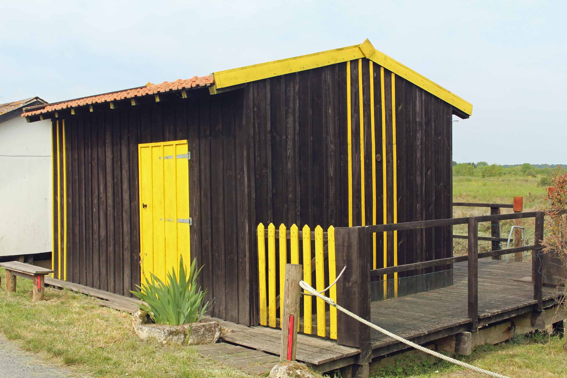 Mornac-sur-Seudre, cabane colorée