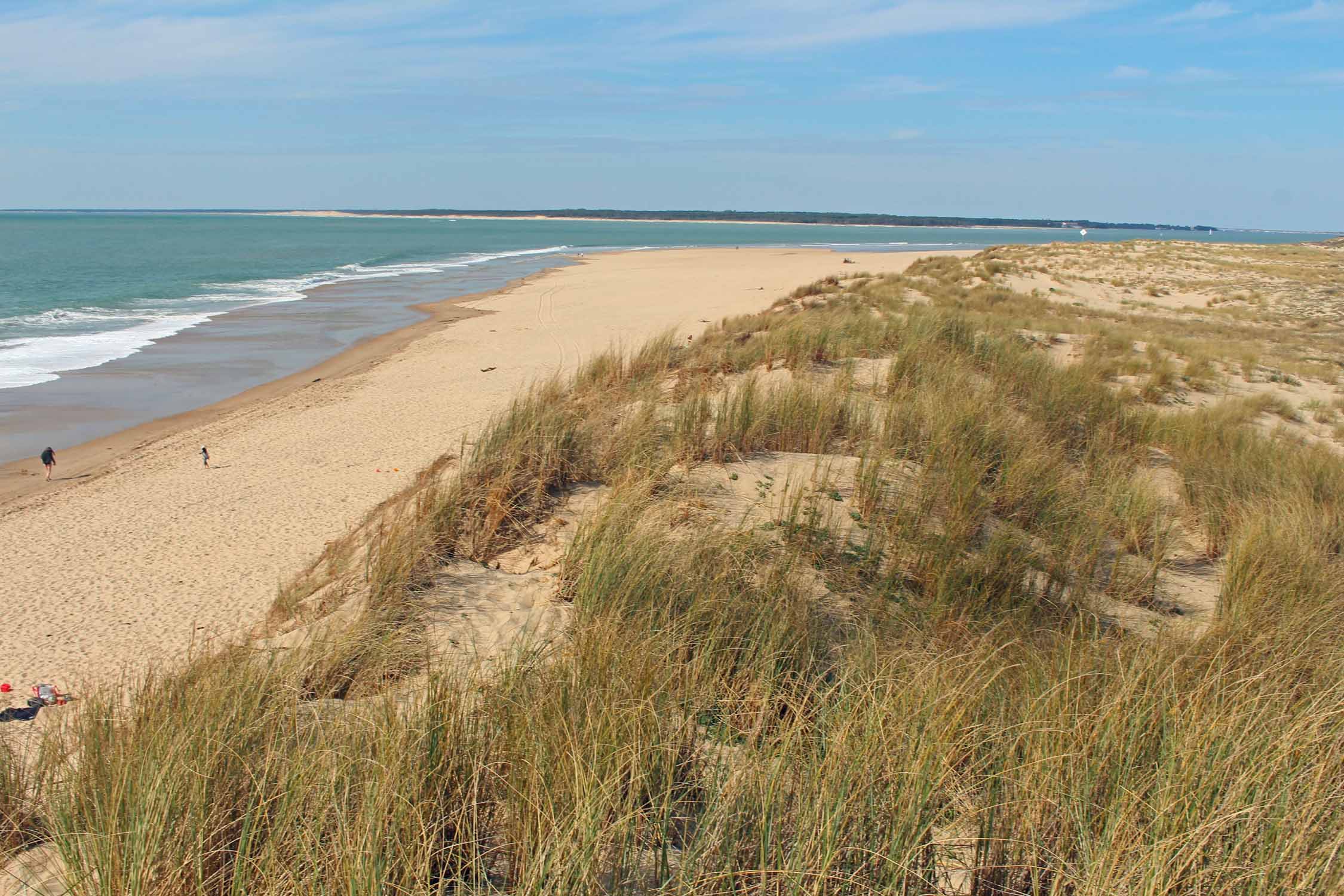 Forêt de la Coubre, plage Pointe Espagnole