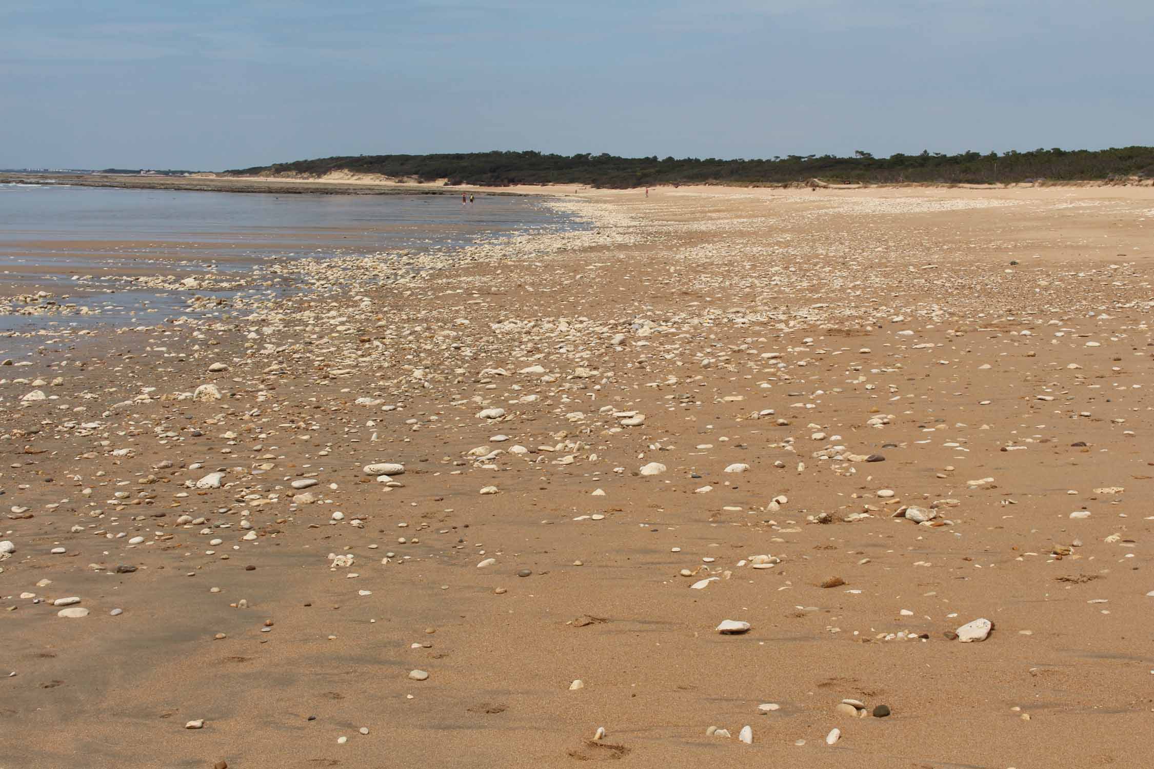 Plage de Dolus-d'Oléron