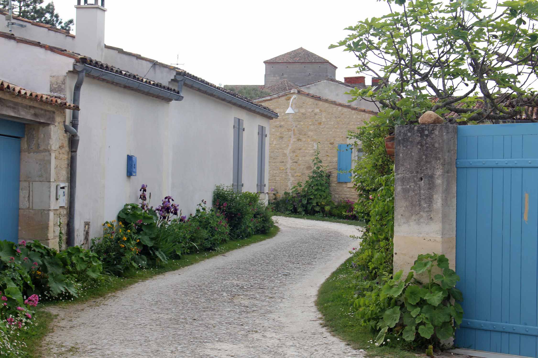 Talmont-sur-Gironde, ruelle