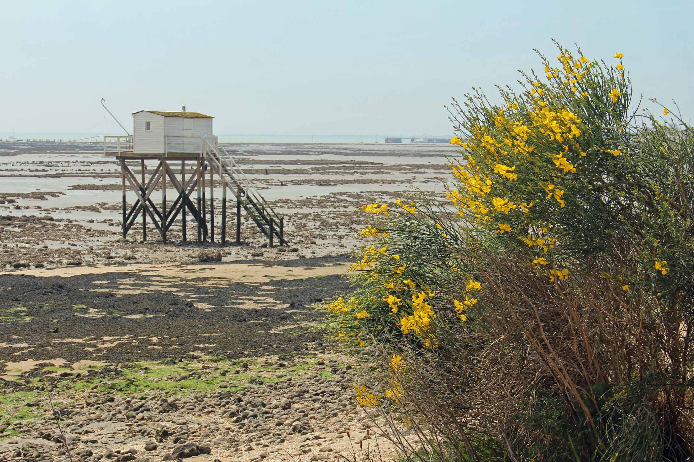 Ile d'Aix, carrelet