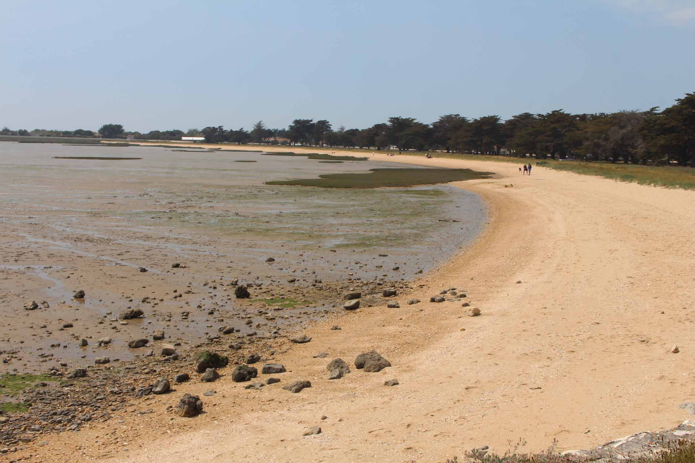 Ile d'Aix, plage aux Coquillages