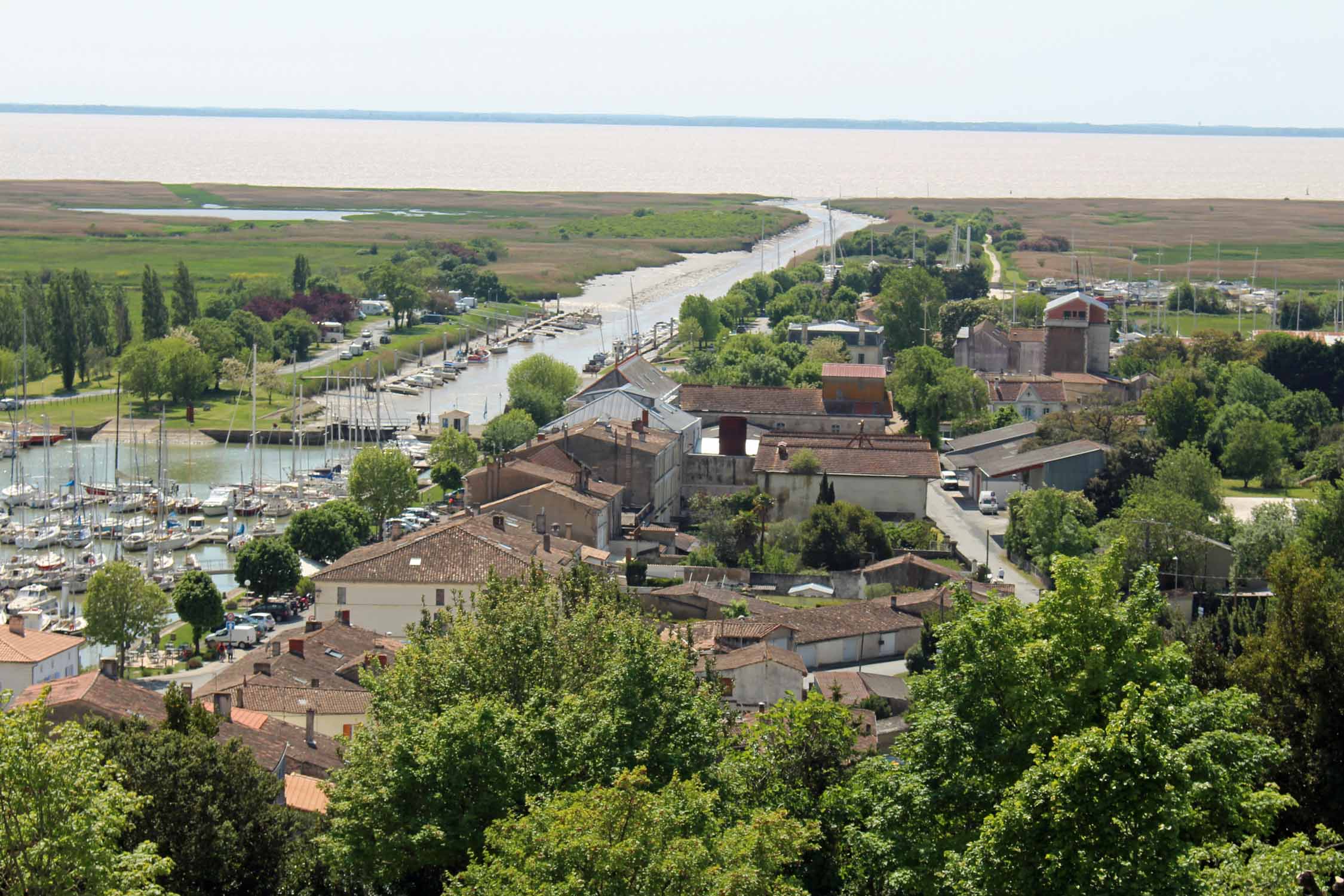 Mortagne-sur-Gironde, paysage