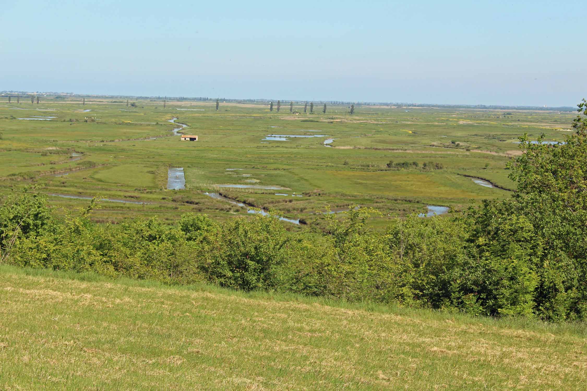 Saint-Jean-d'Angle, paysage