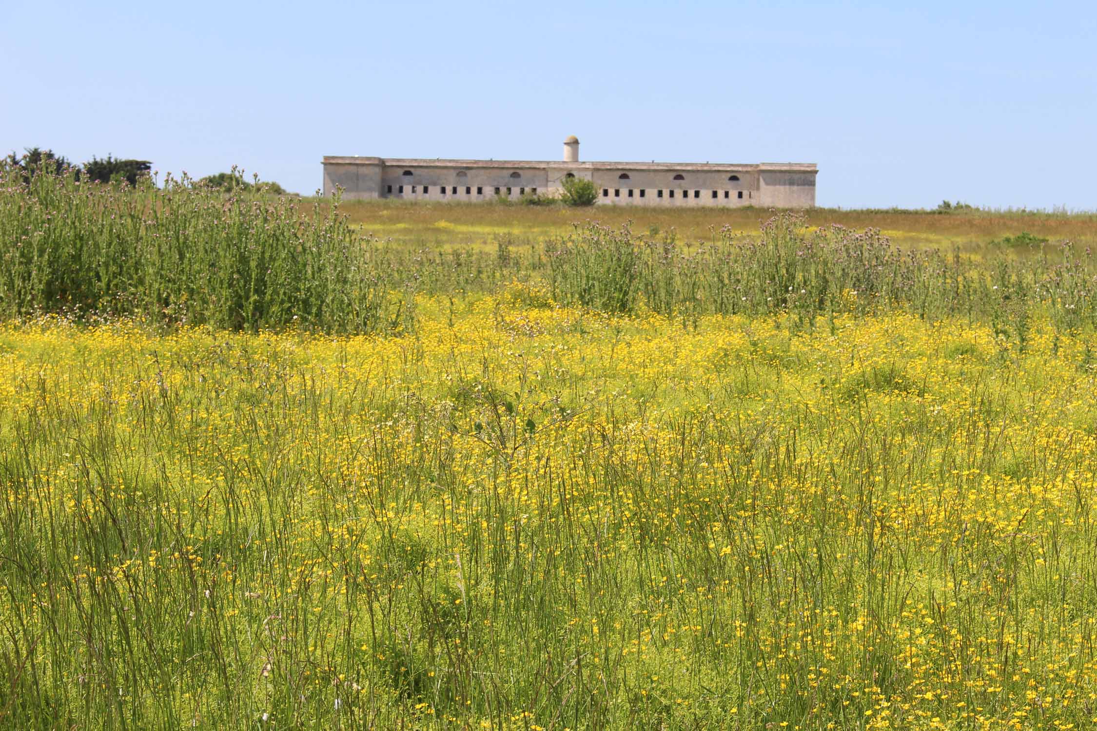 Ile Madame, fort Vauban