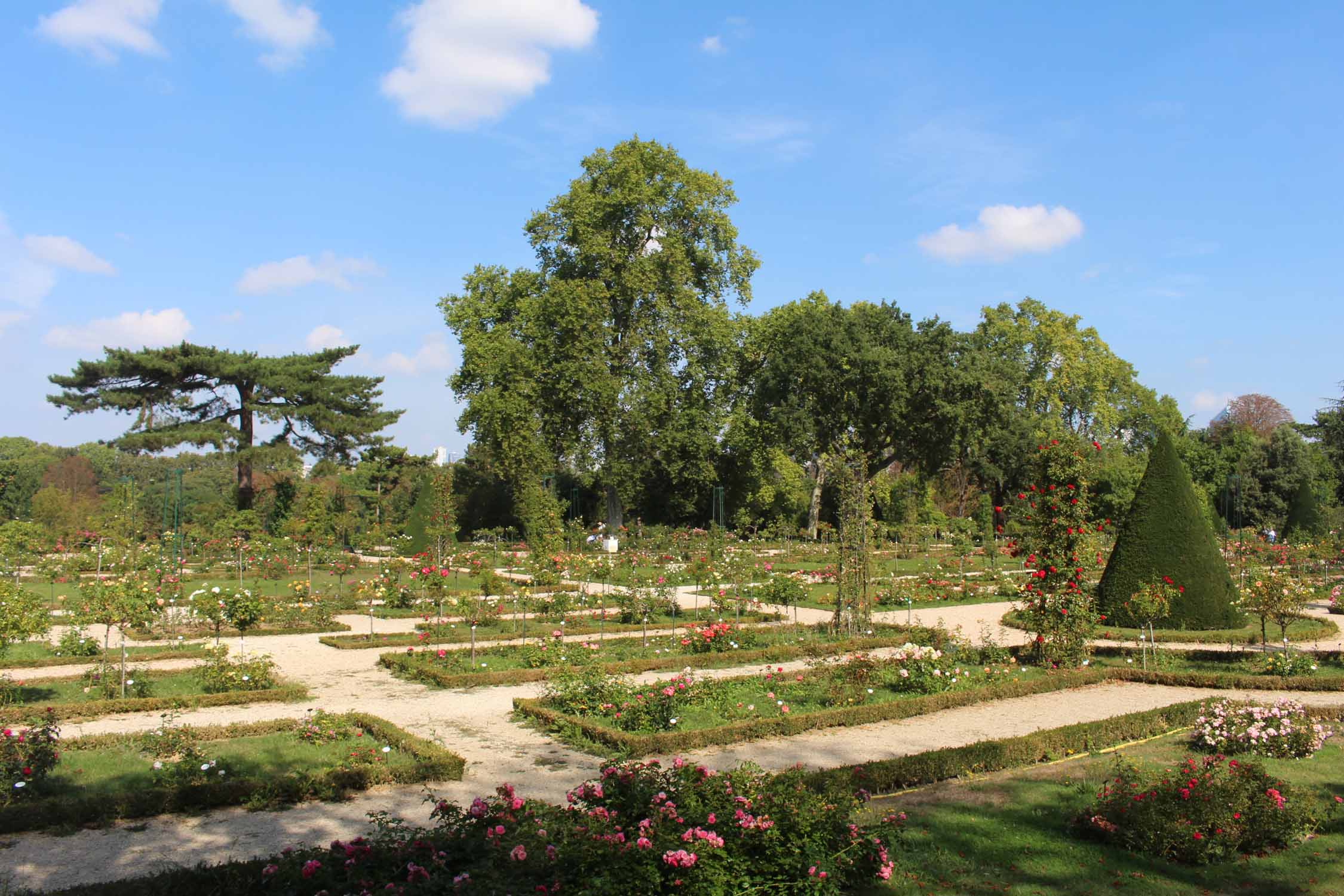 Parc de Bagatelle, la Roseraie