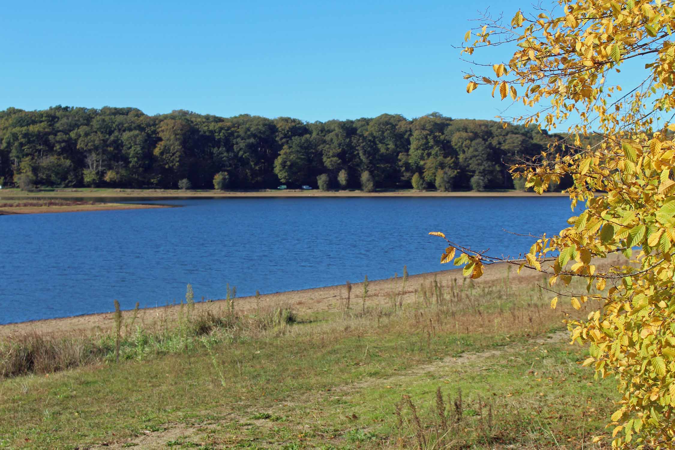 Forêt de Troncais, étang de Pirot