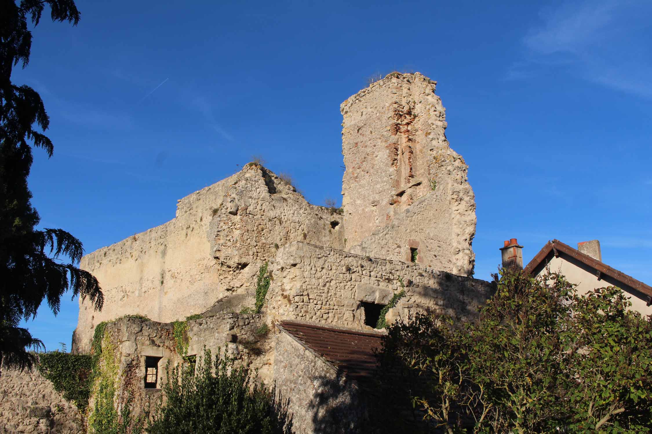 Verneuil-en-Bourbonnais, château