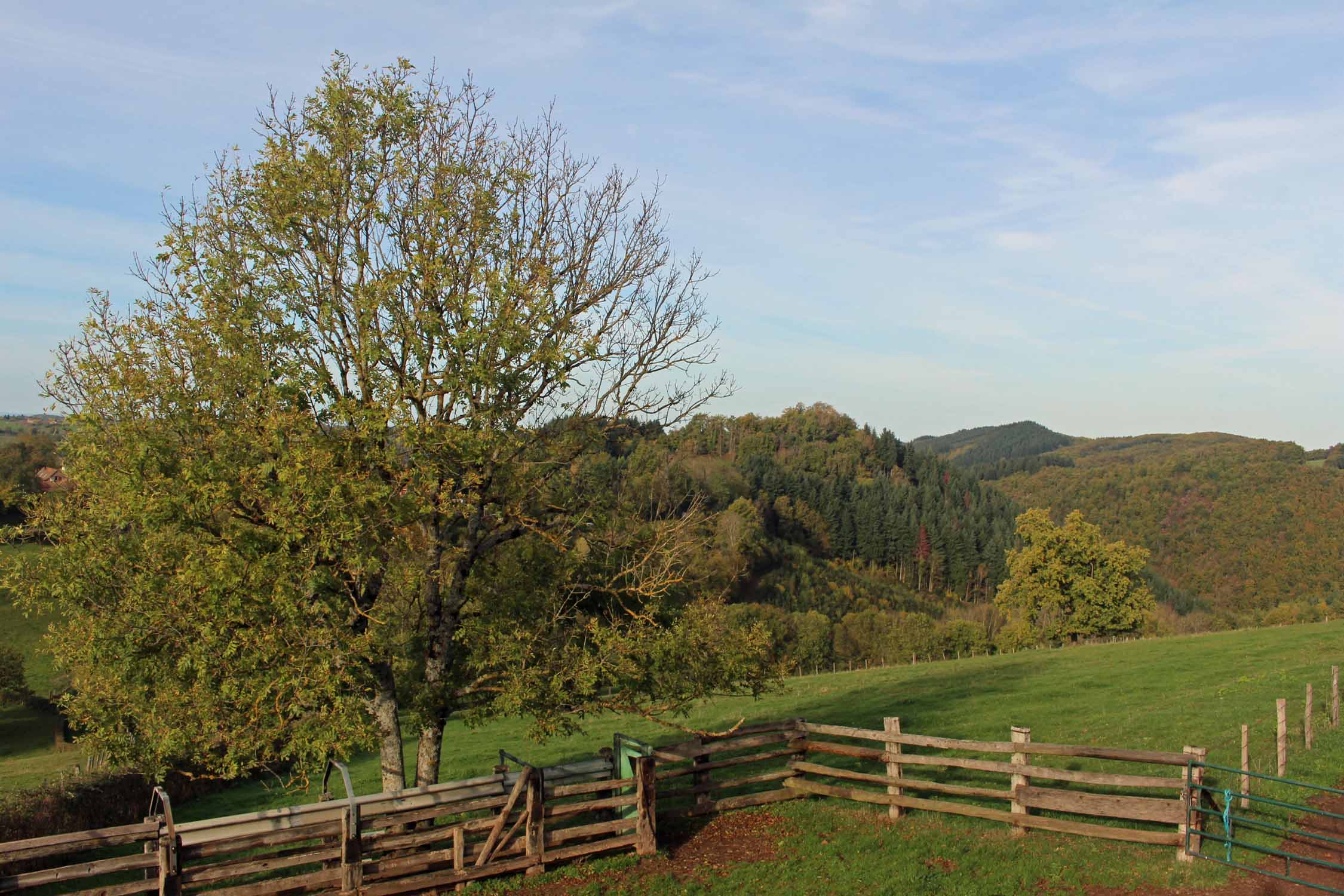 Châtel-Montagne, paysage