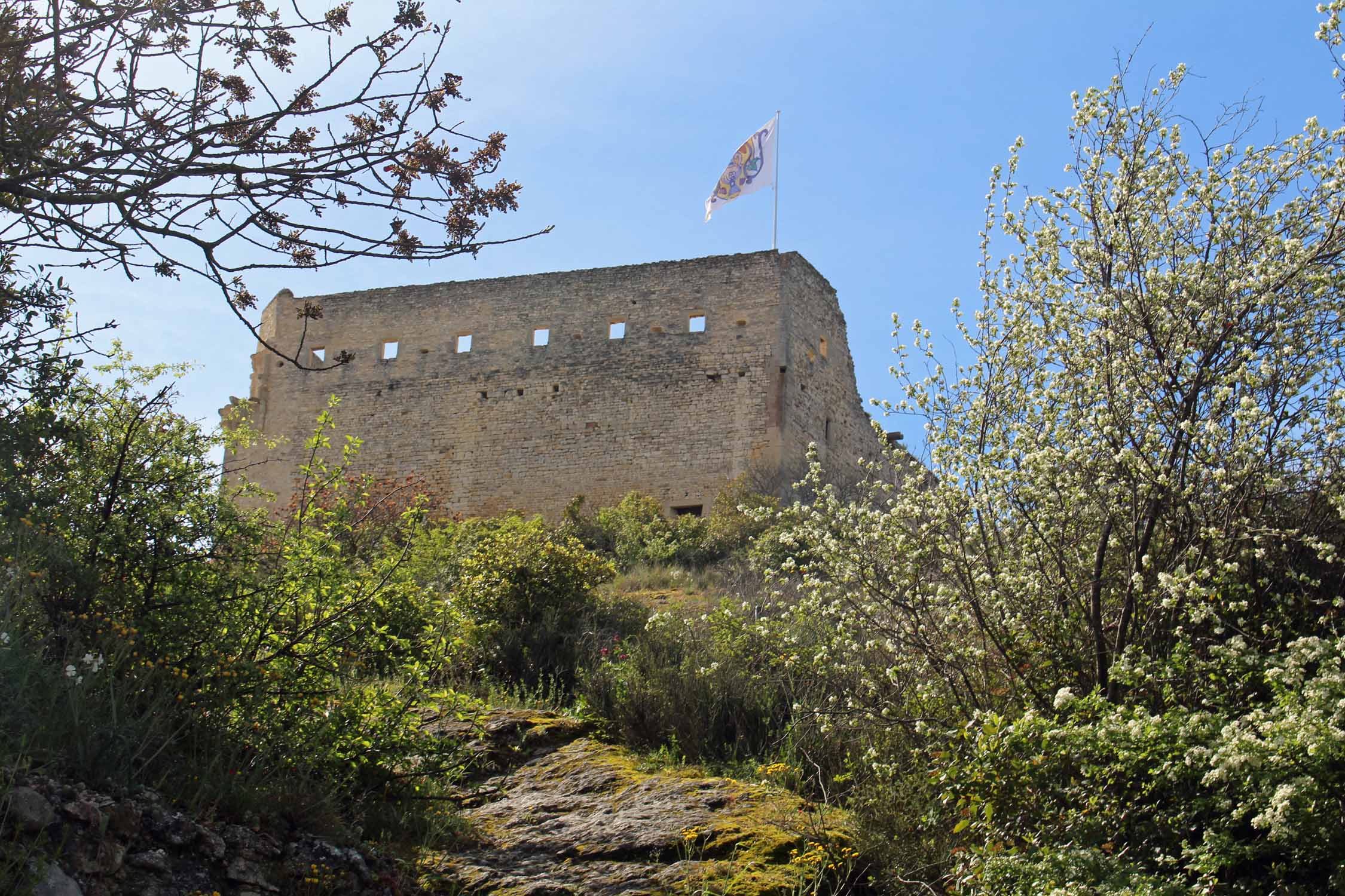 Vaison-la-Romaine, château des Comtes de Toulouse