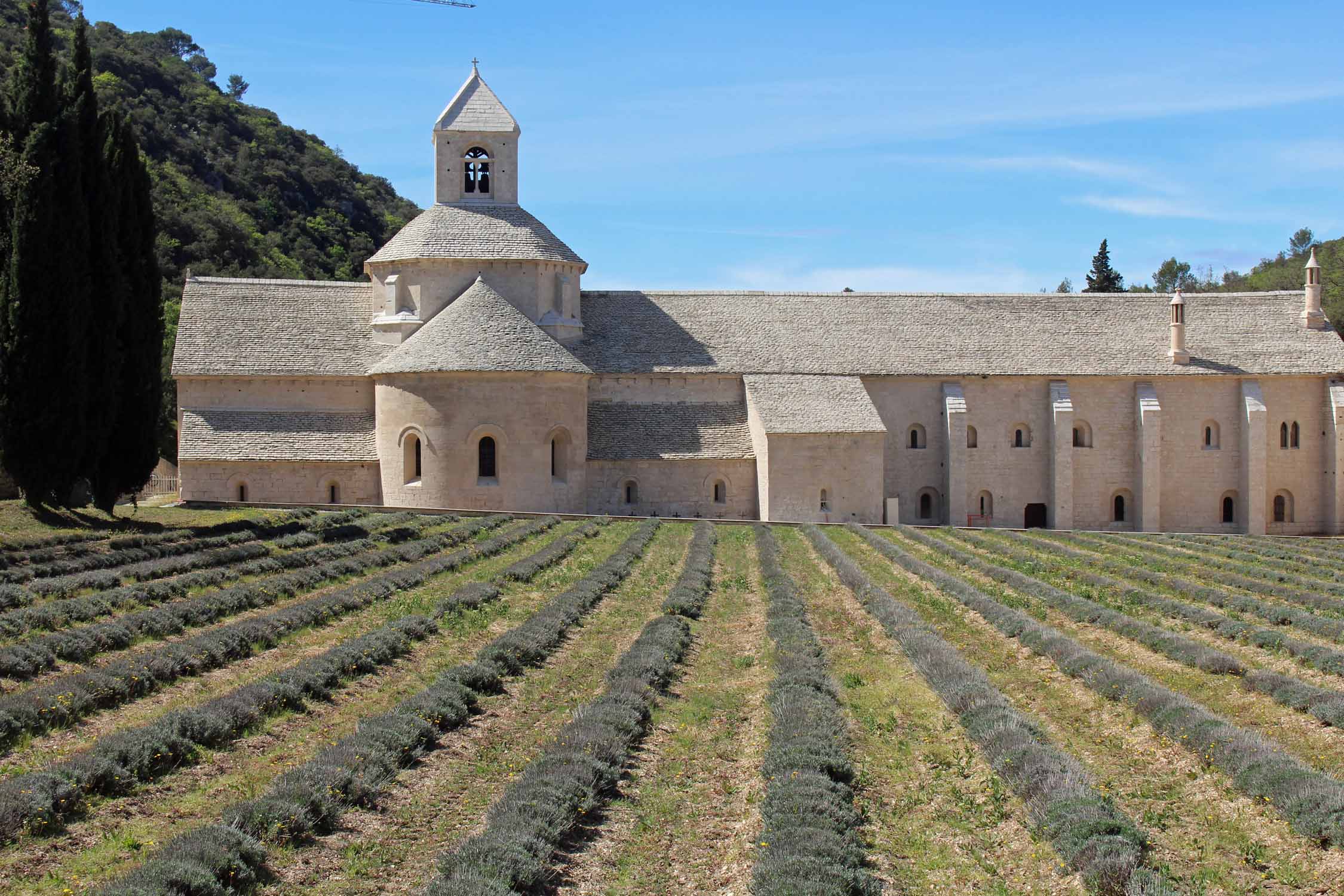 abbaye Notre-Dame-de-Senanque