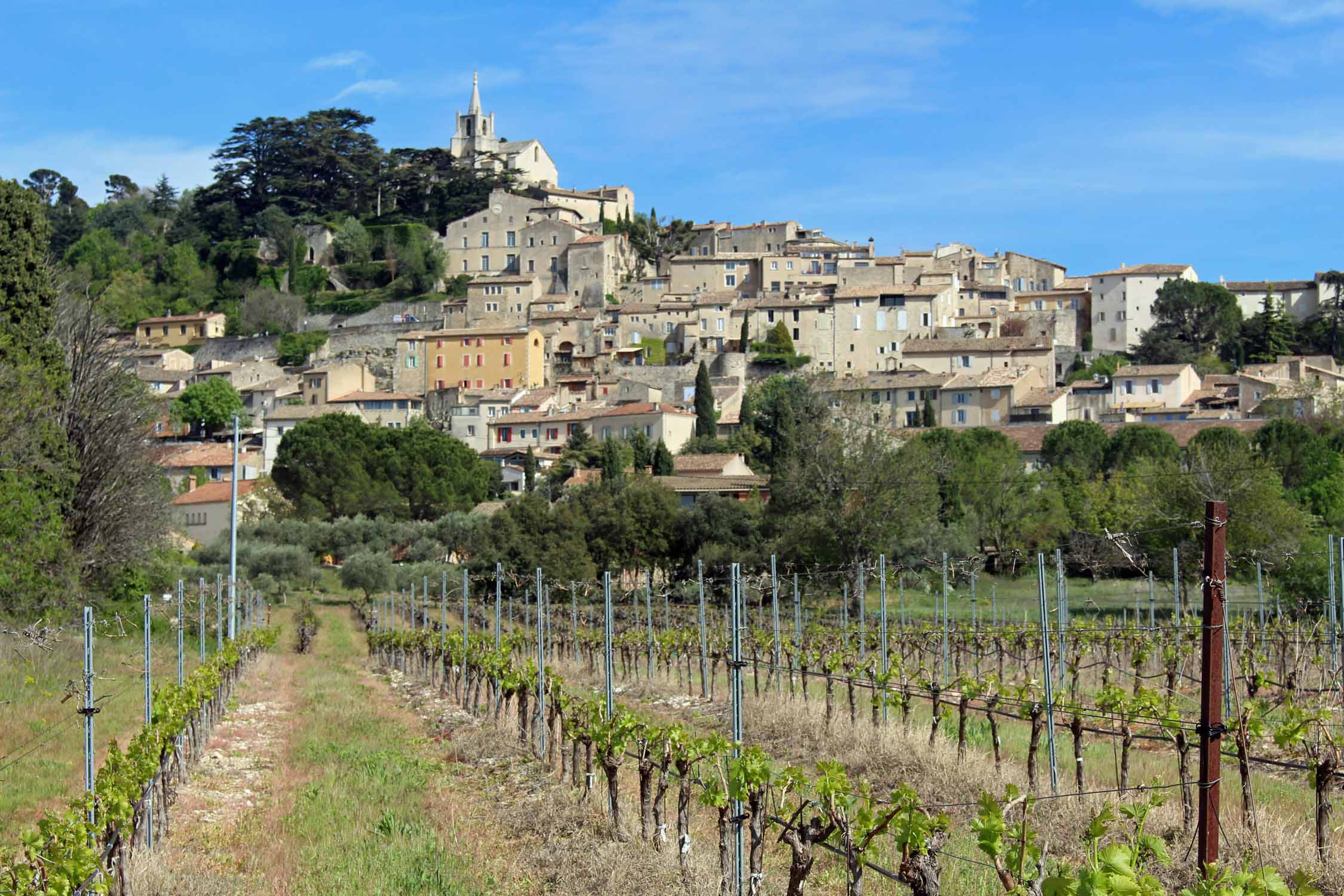 Bonnieux, vignobles