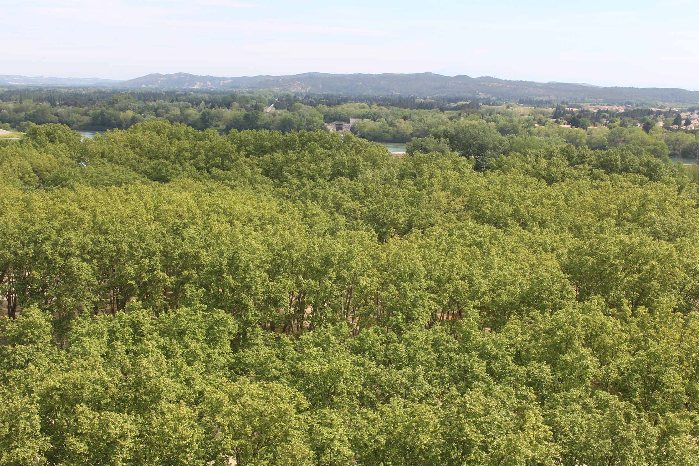 Beaucaire, paysage