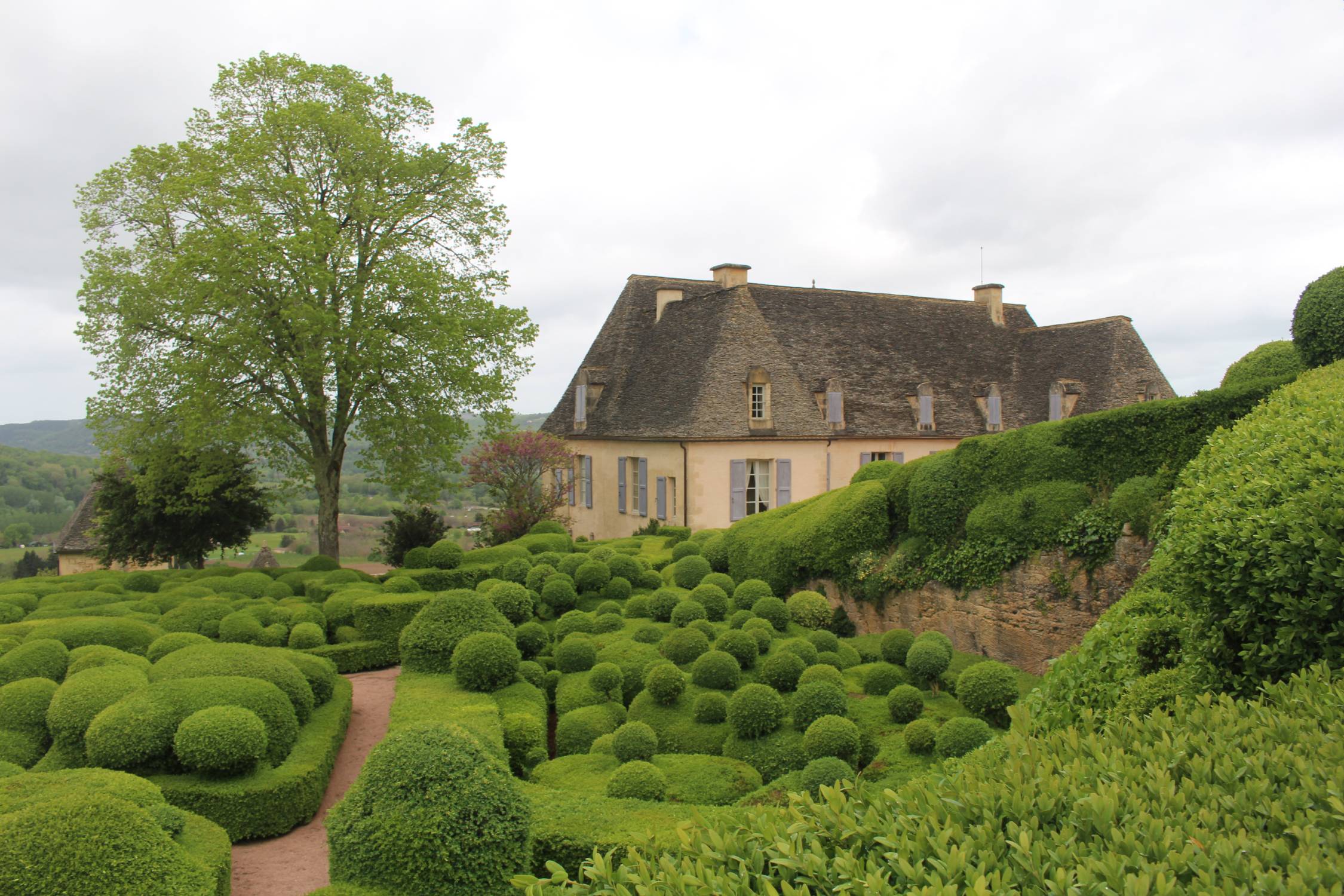 Les jardins de Marqueyssac, buis