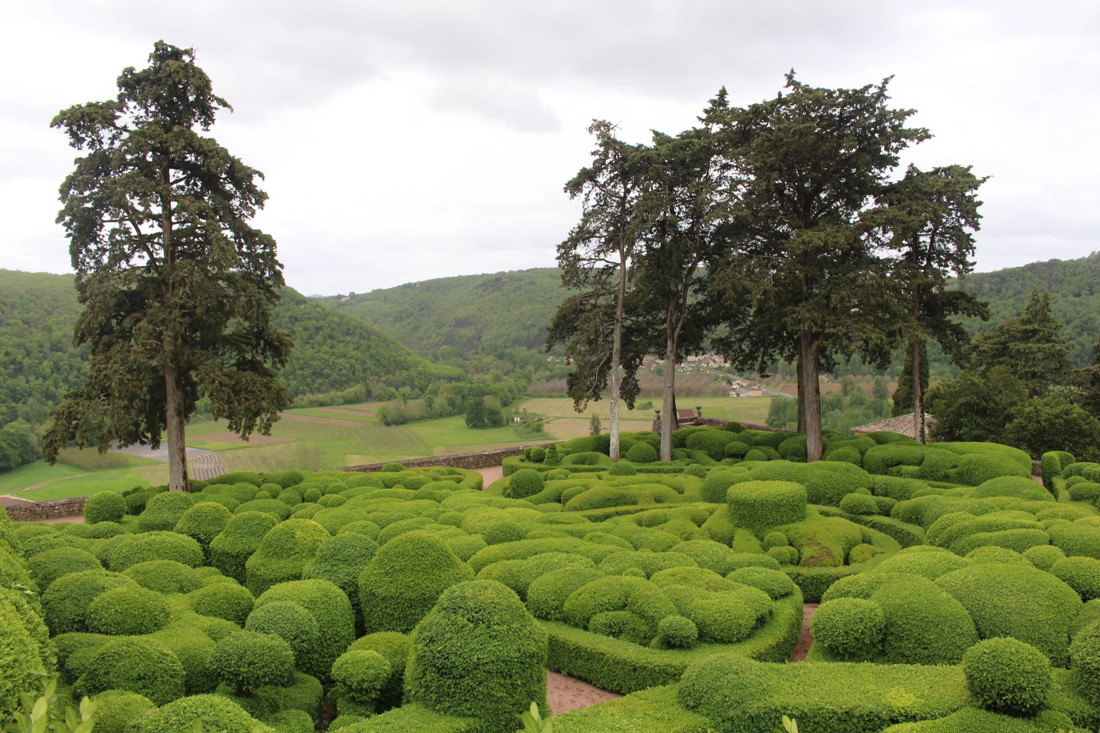 Les jardins suspendus de Marqueyssac, buis