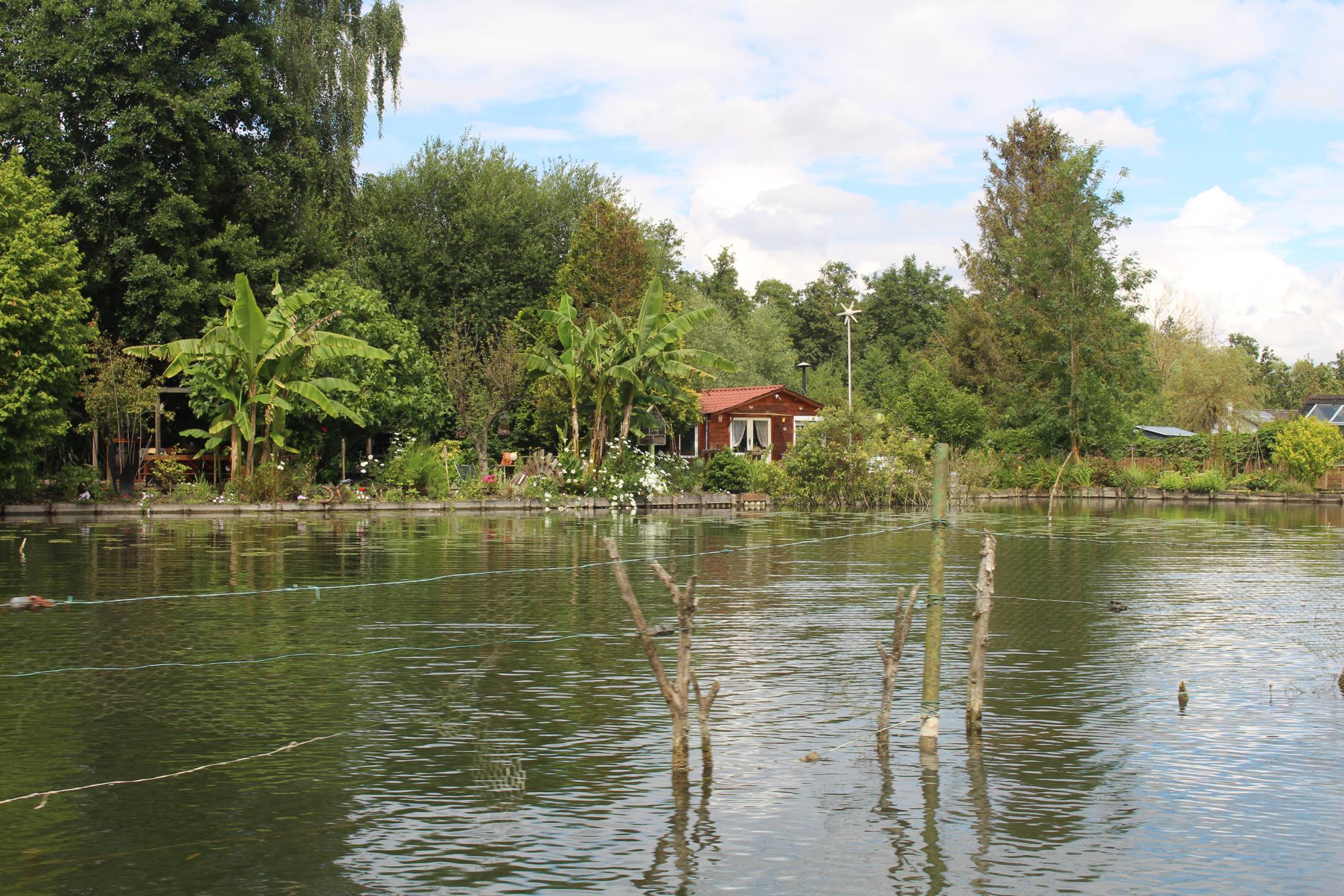 Amiens, hortillonnages, végétations