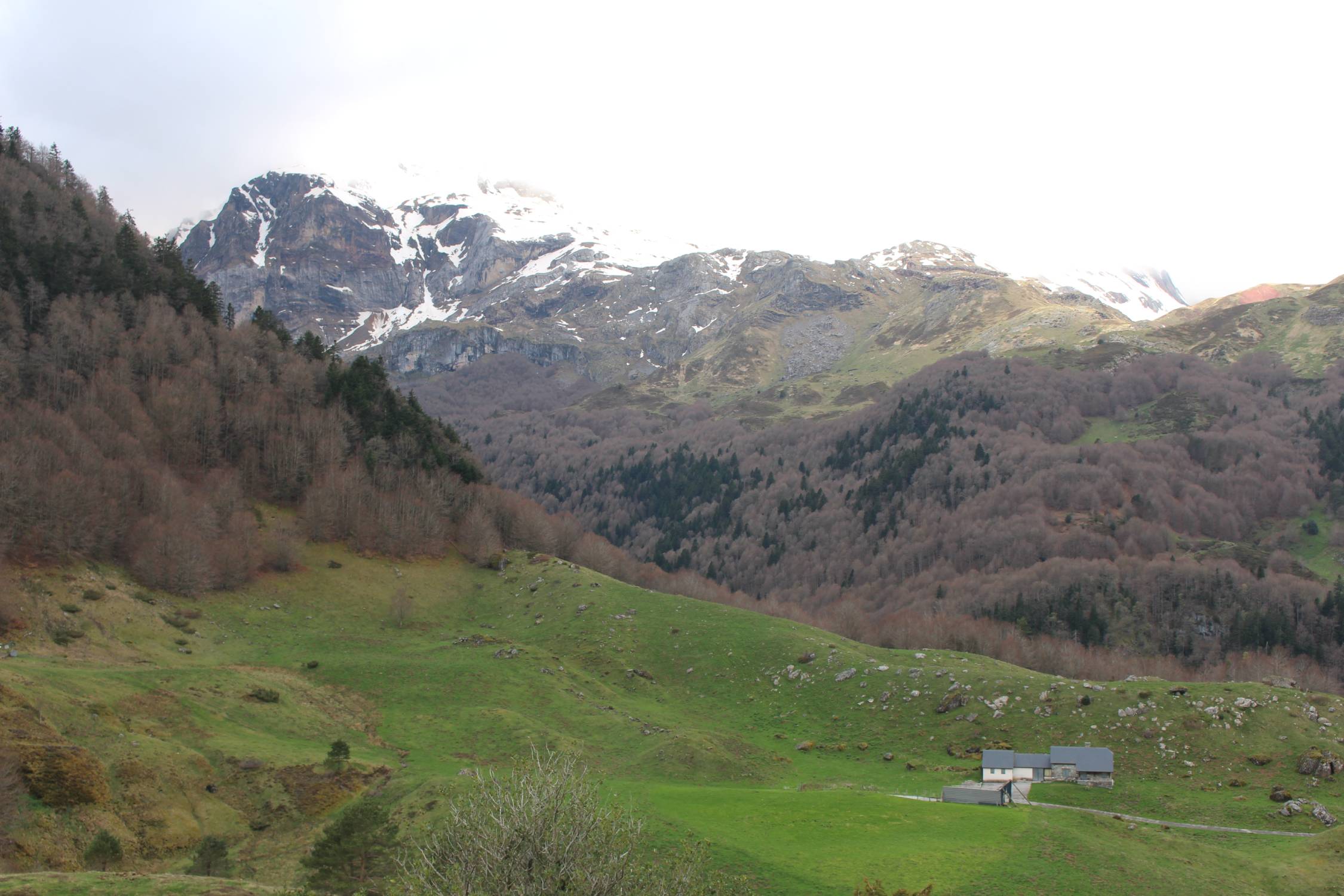 Vallée d'Aspe, paysage