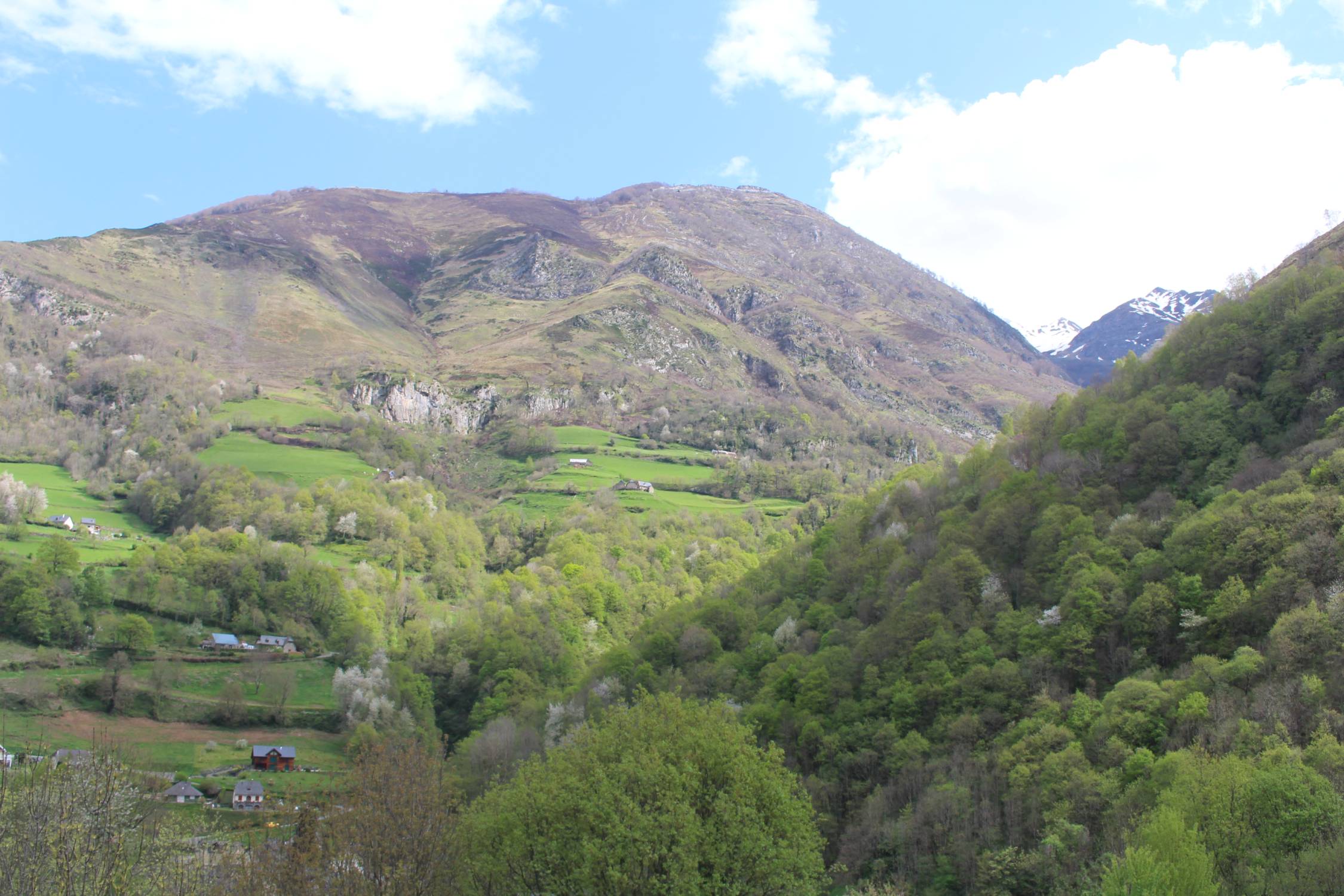 Vallée d'Aspe, Borce, paysage