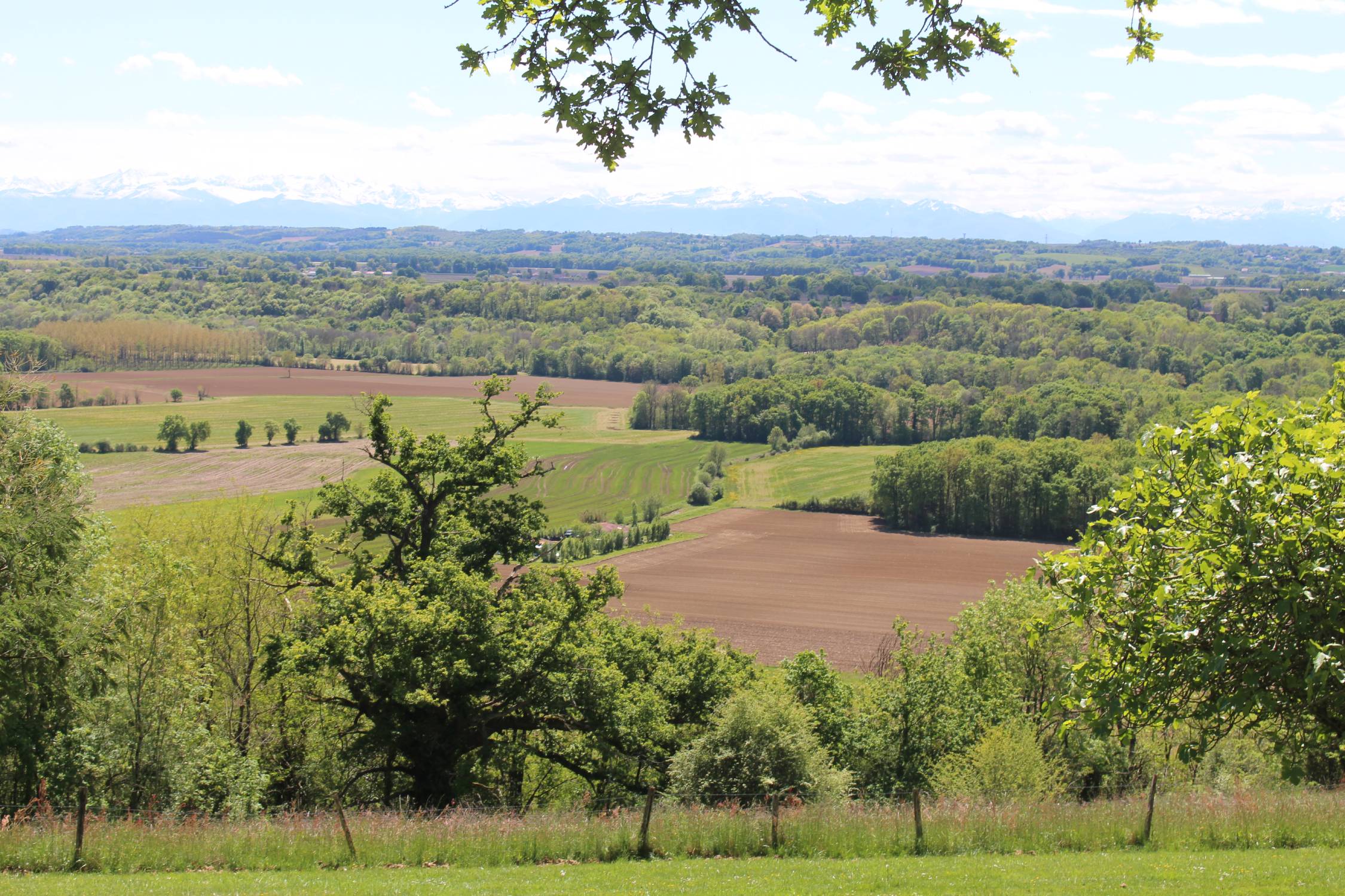 Morlanne, vue des Pyrénées