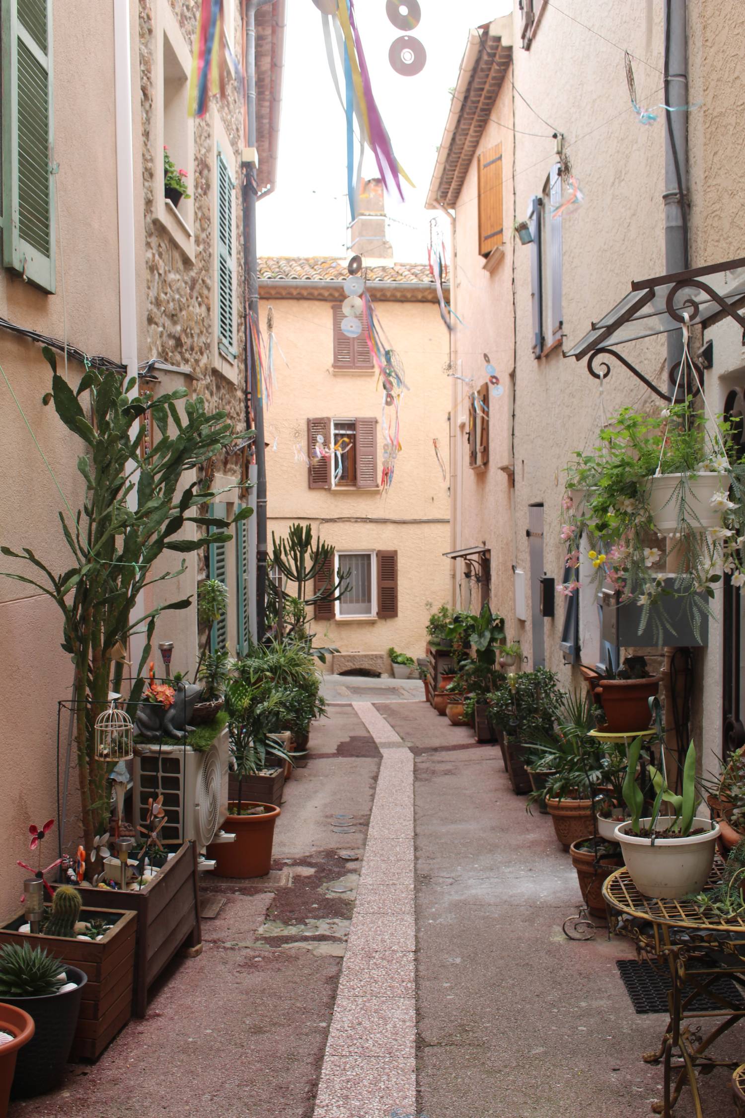 Roquebrune-sur-Argens, ruelle, plantes