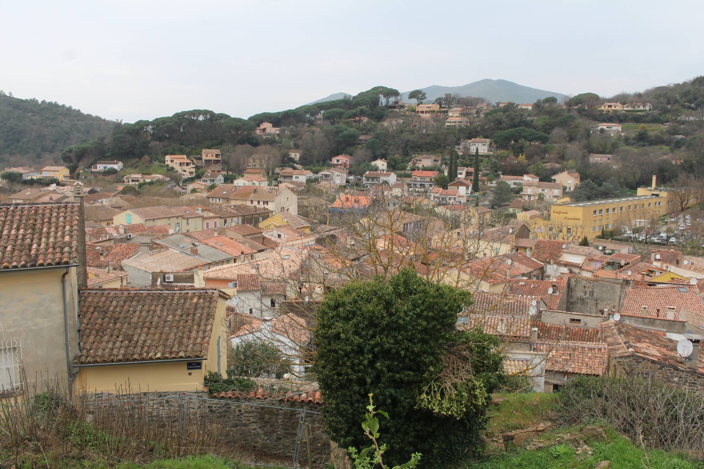 Collobri&egrave;res
