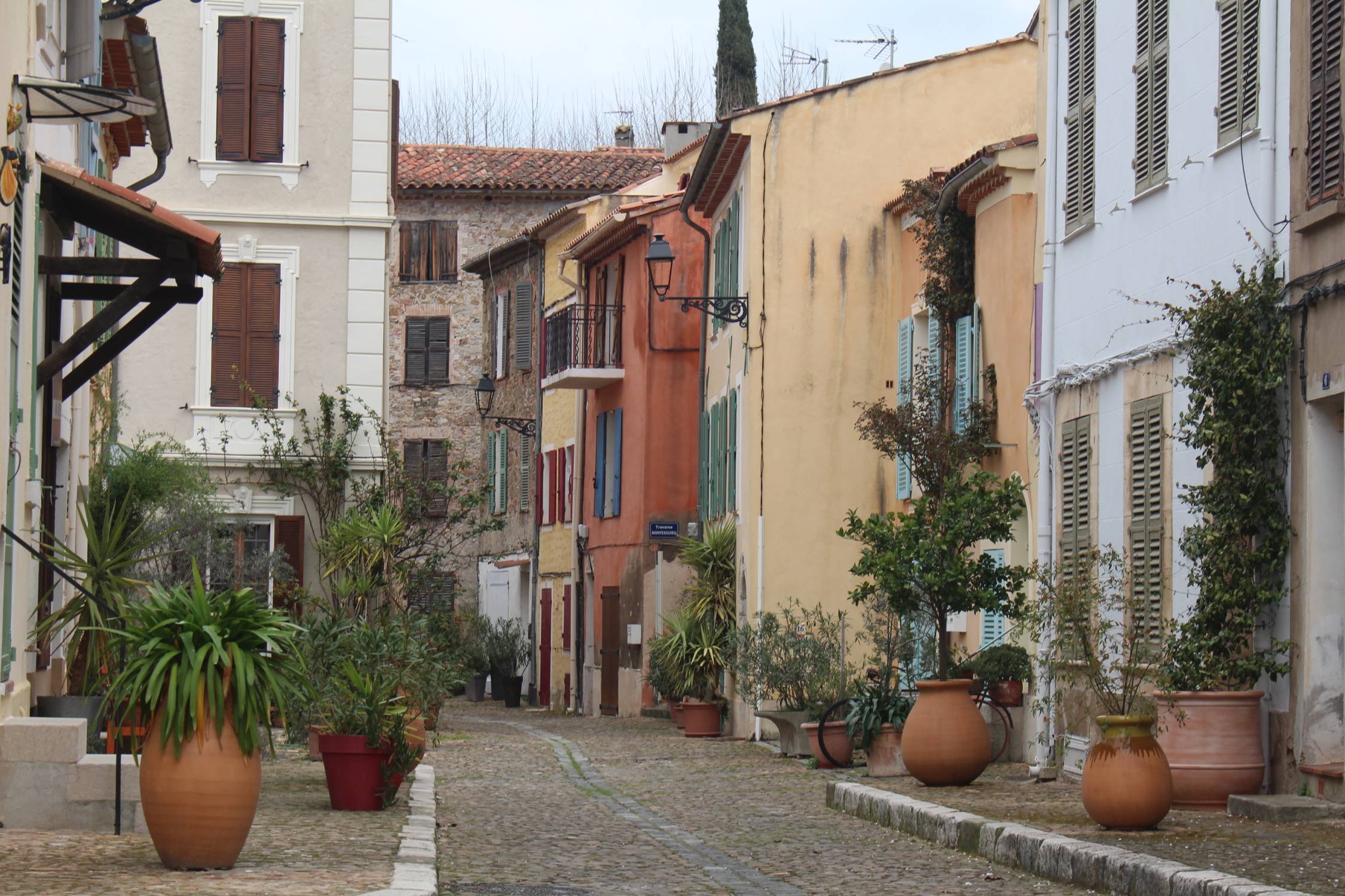 Collobri&egrave;res, rue color&eacute;e