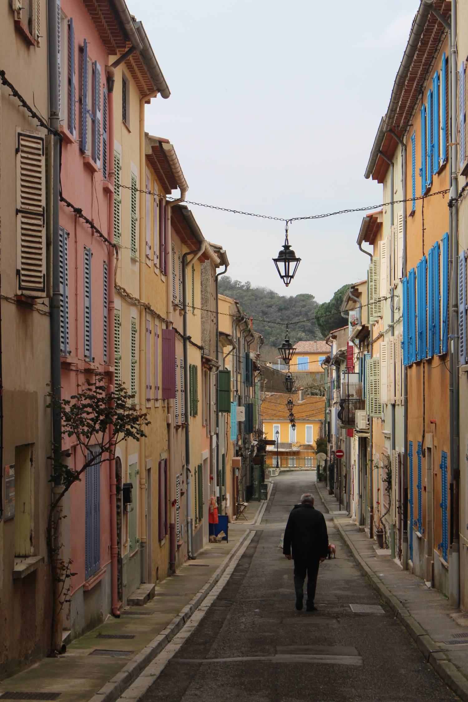 Collobri&egrave;res, rue typique