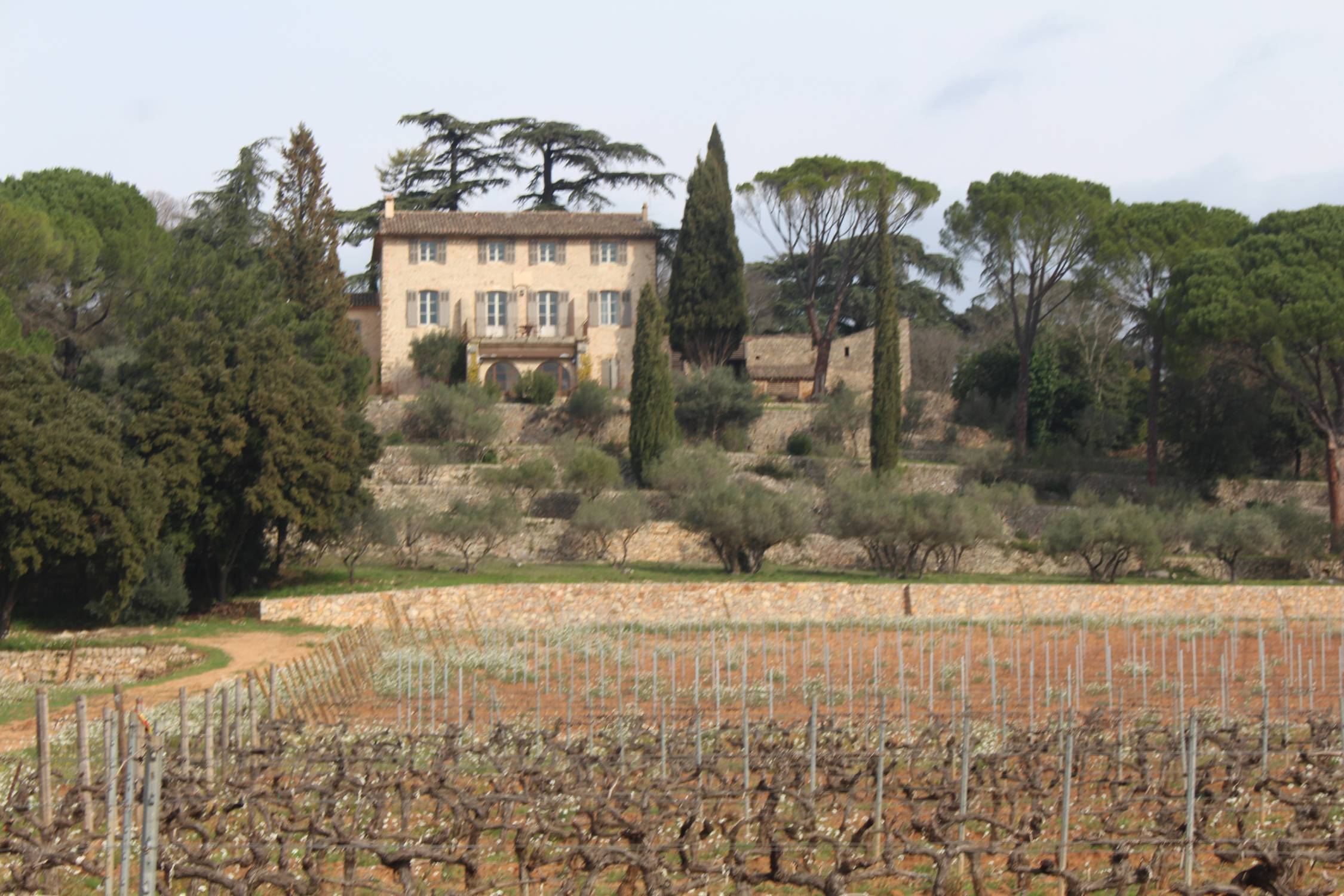 Vignobles, bastide Saint-Louis