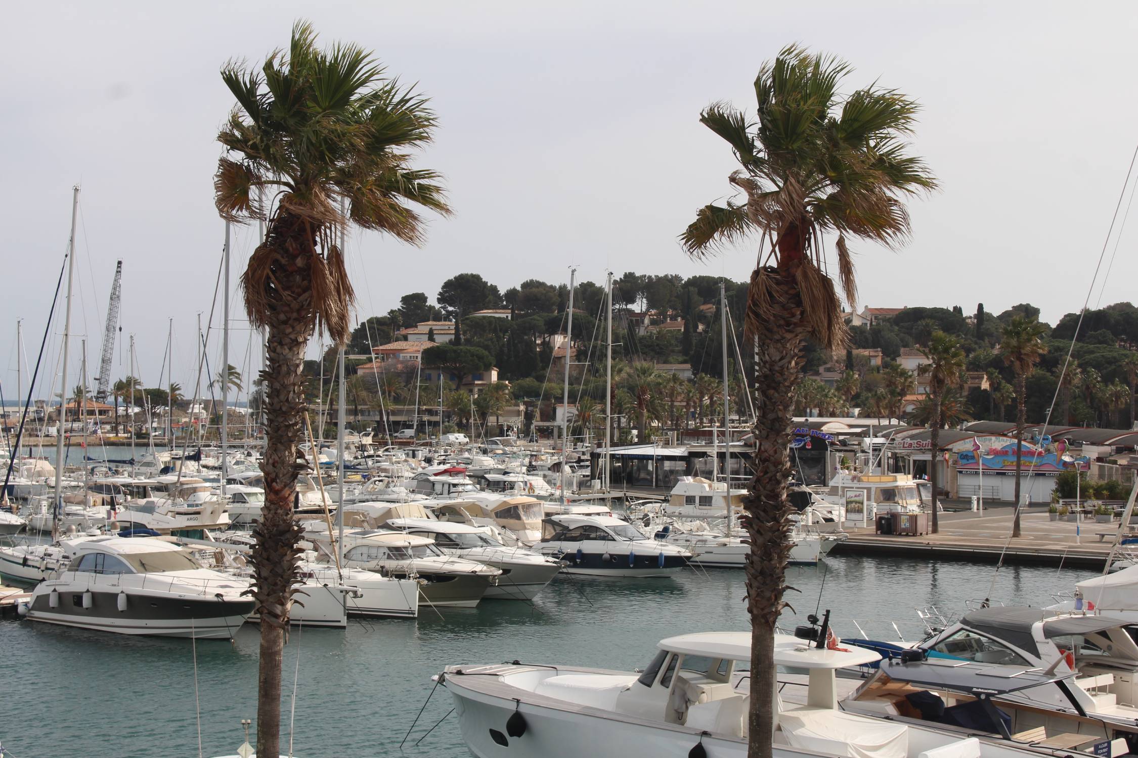 Cavalaire-sur-Mer, port