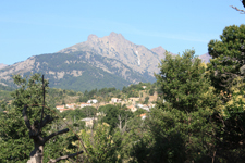 Albertacce