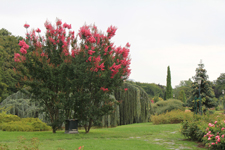 Parc de la T&ecirc;te d'Or