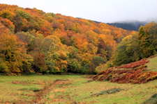 Saint-L&eacute;ger-sur-Beuvray, automne