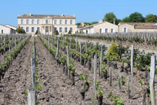 Ch&acirc;teau Branaire-Ducru
