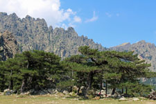 Col de Bavella, Corse