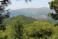 For&ecirc;t de Quarceta