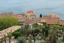 Eze, jardin exotique, C&ocirc;te d'Azur